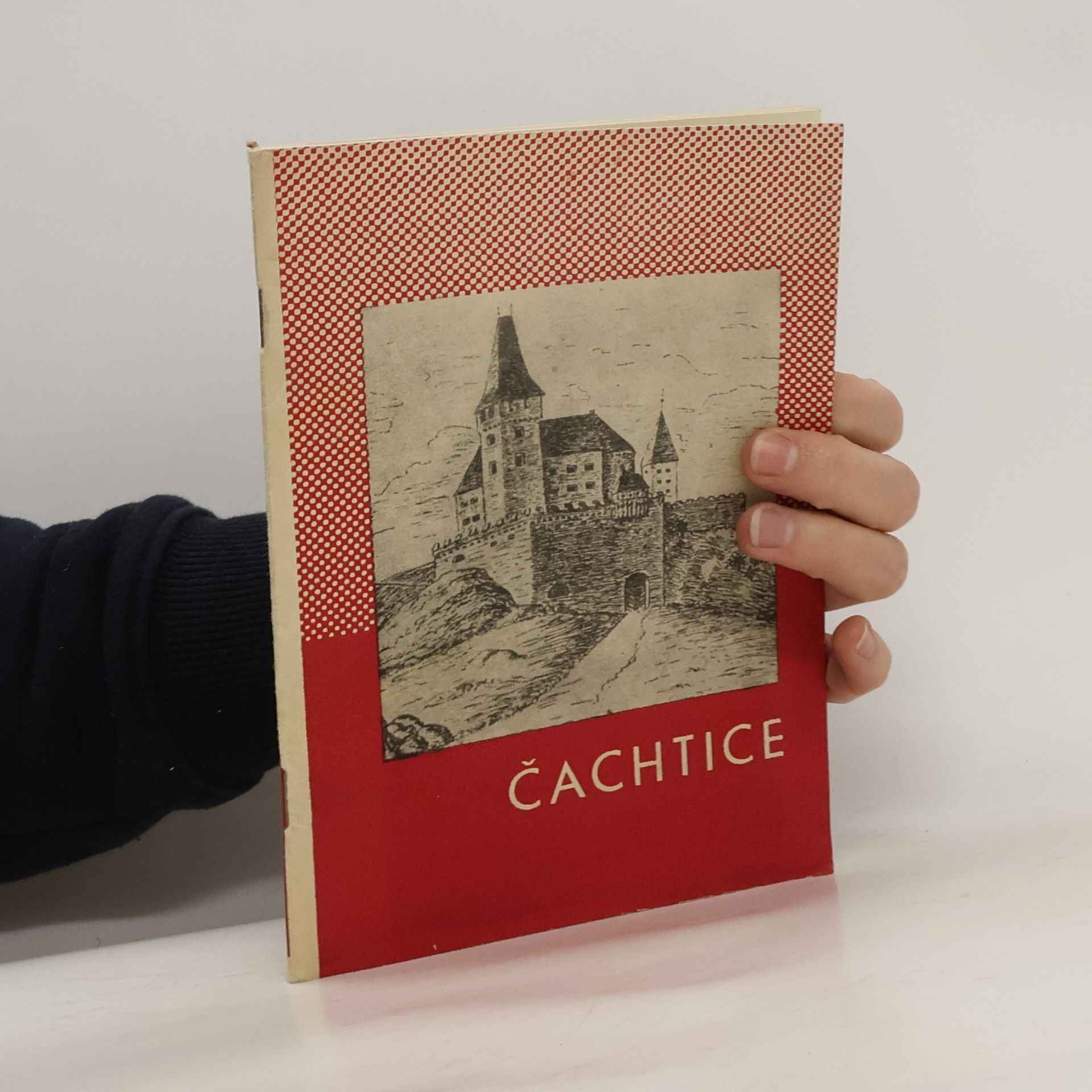 Vladimír Ammer Čachtice