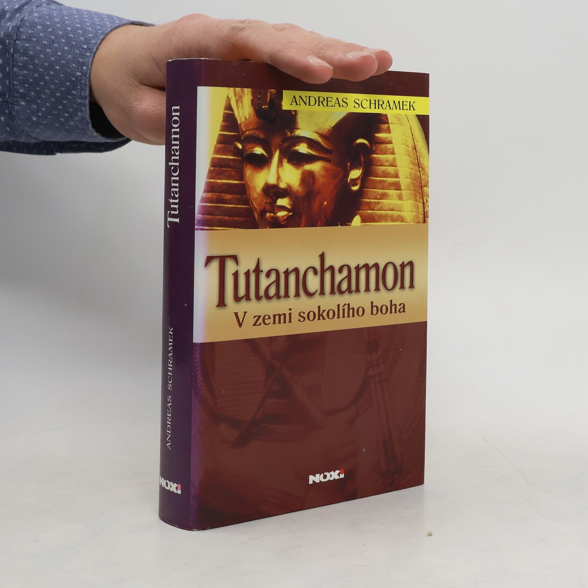 Rudolf Řežábek Tutanchamon: V zemi sokolího boha