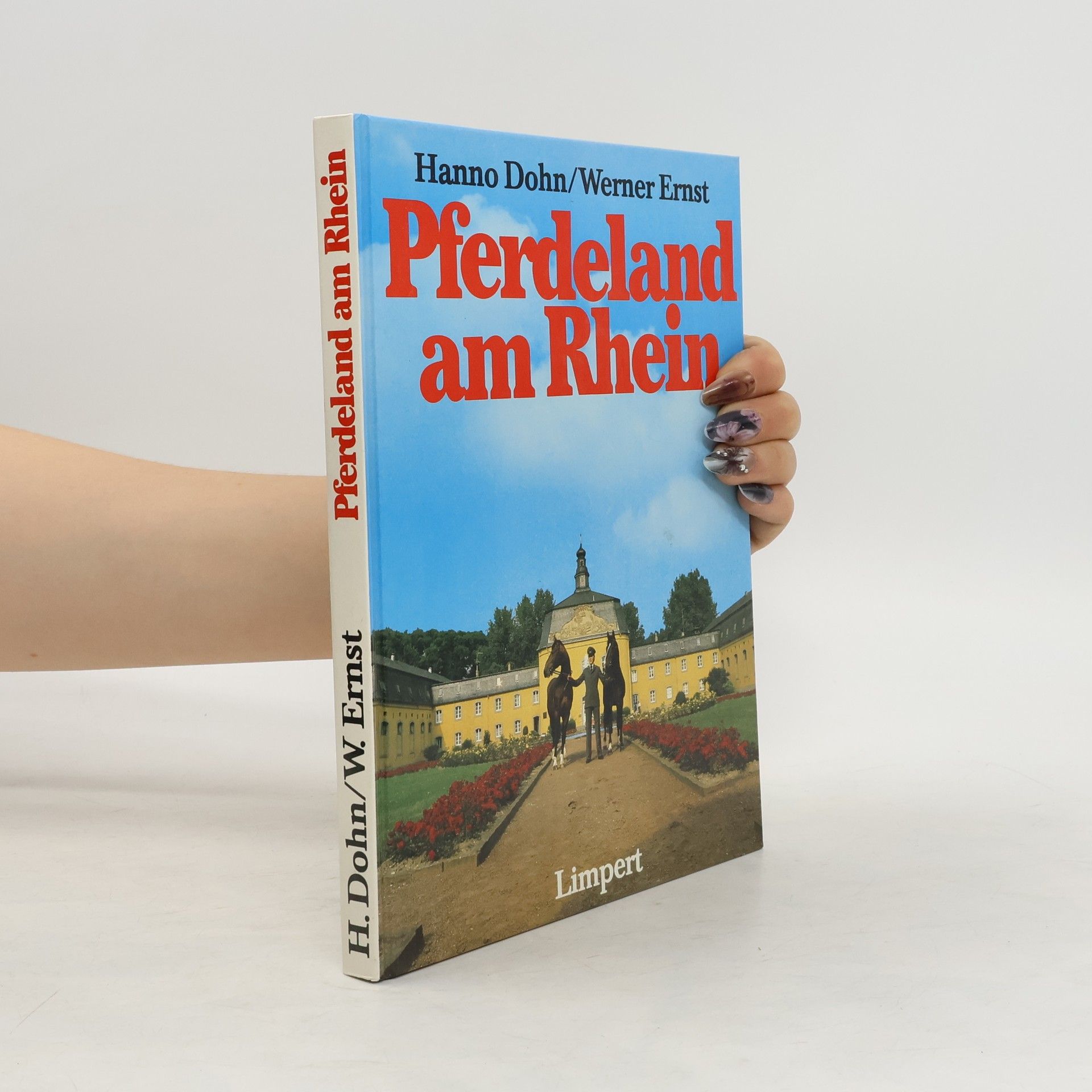 Hanno Dohn Pferdeland am Rhein