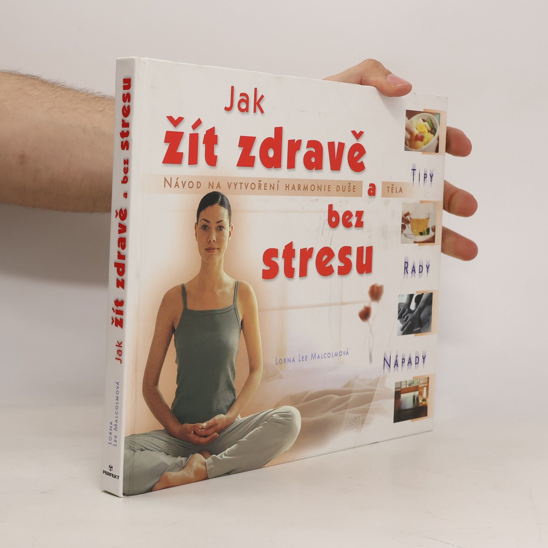 Lorna Lee Malcolm Jak žít zdravě a bez stresu: Tipy, rady, nápady