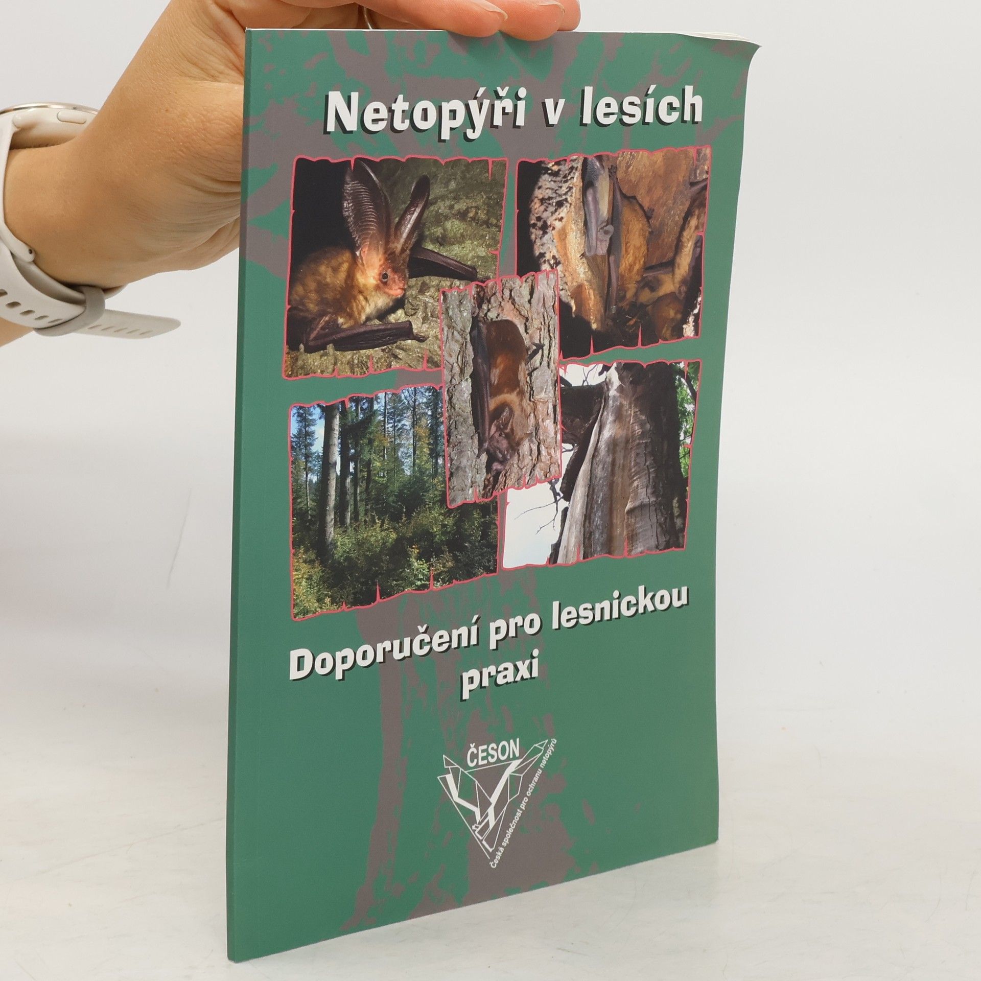 Eva Cepáková Netopýři v lesích