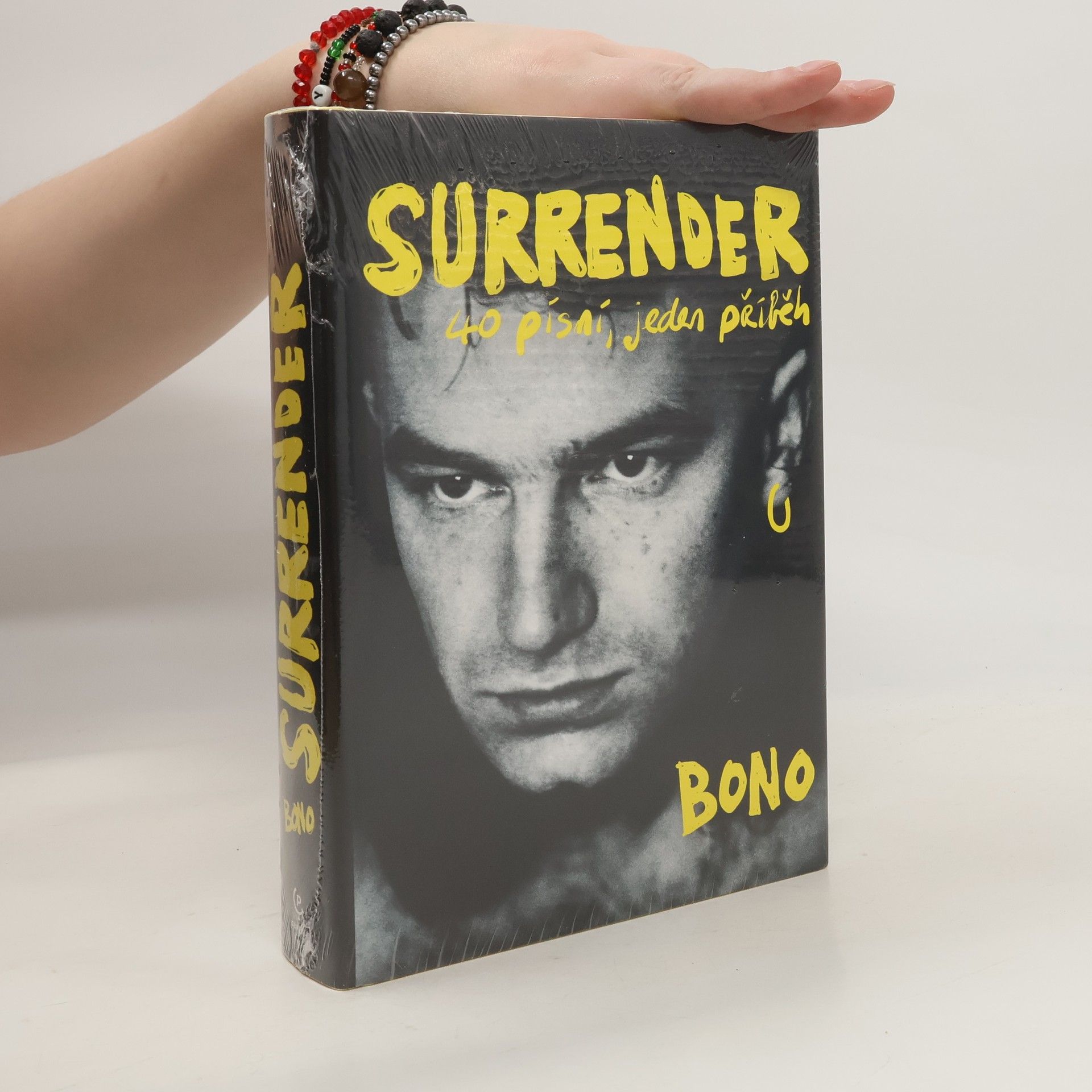 Surrender : 40 písní, jeden příběh