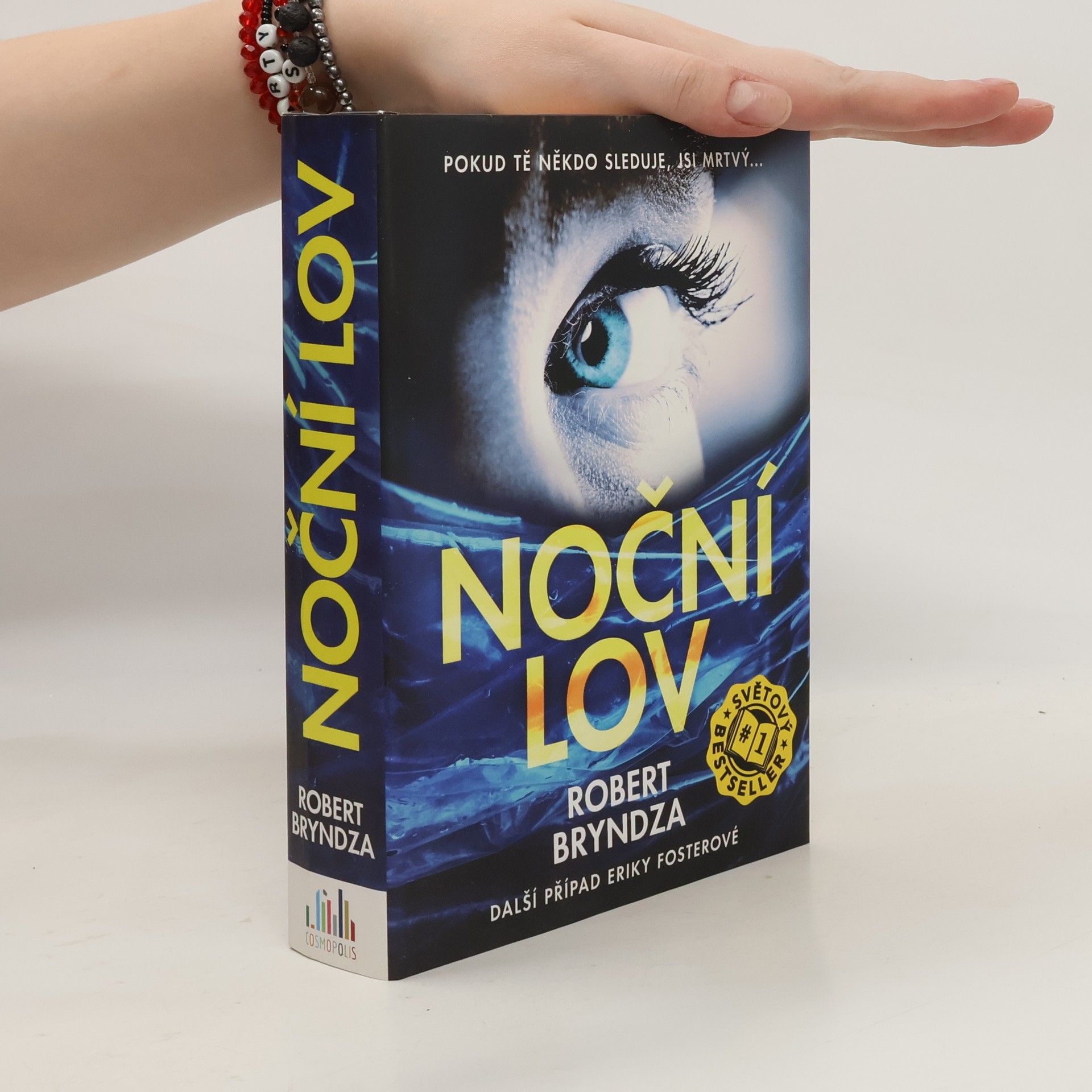 Robert Bryndza Noční lov