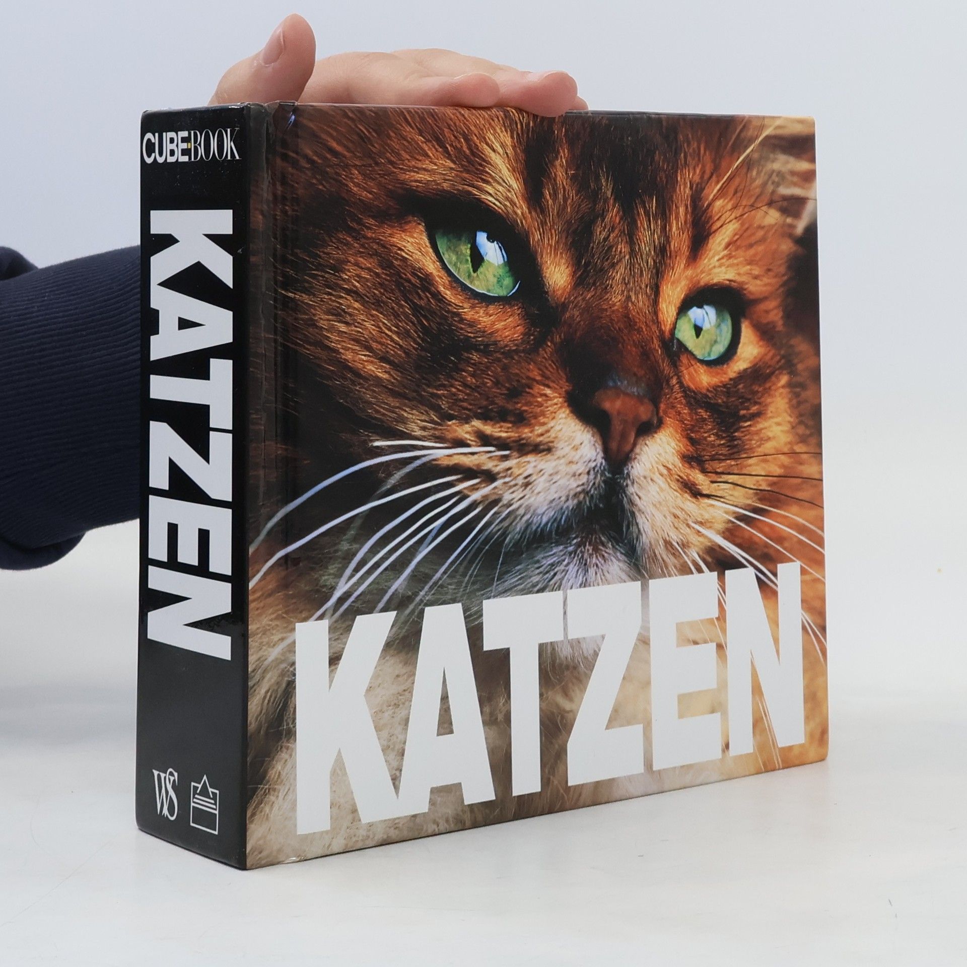 Enrico Lavagno Katzen
