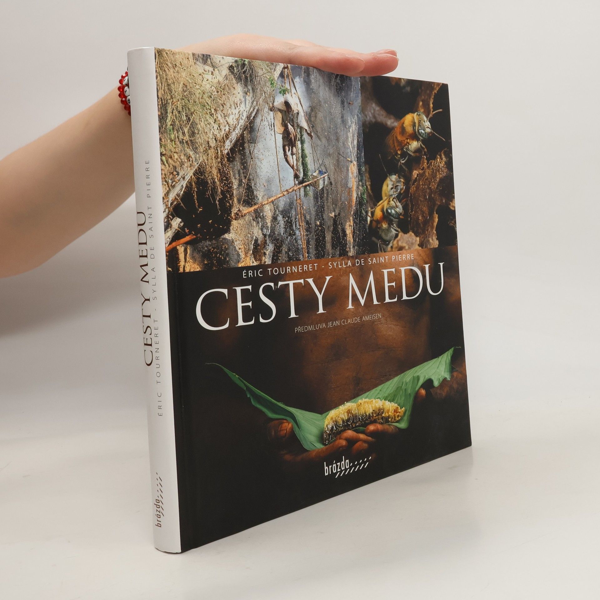 Sylla de Saint Pierre Cesty medu