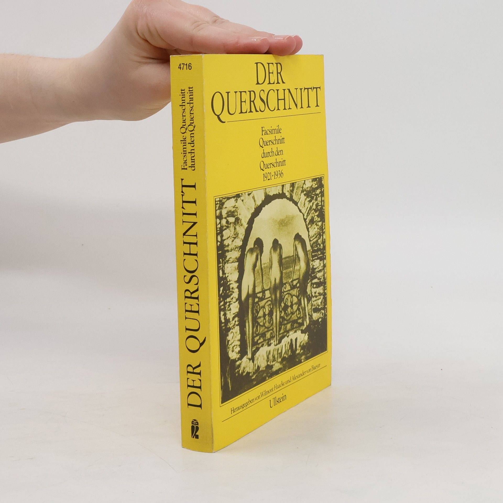 Wilmont Haacke Der Querschnitt