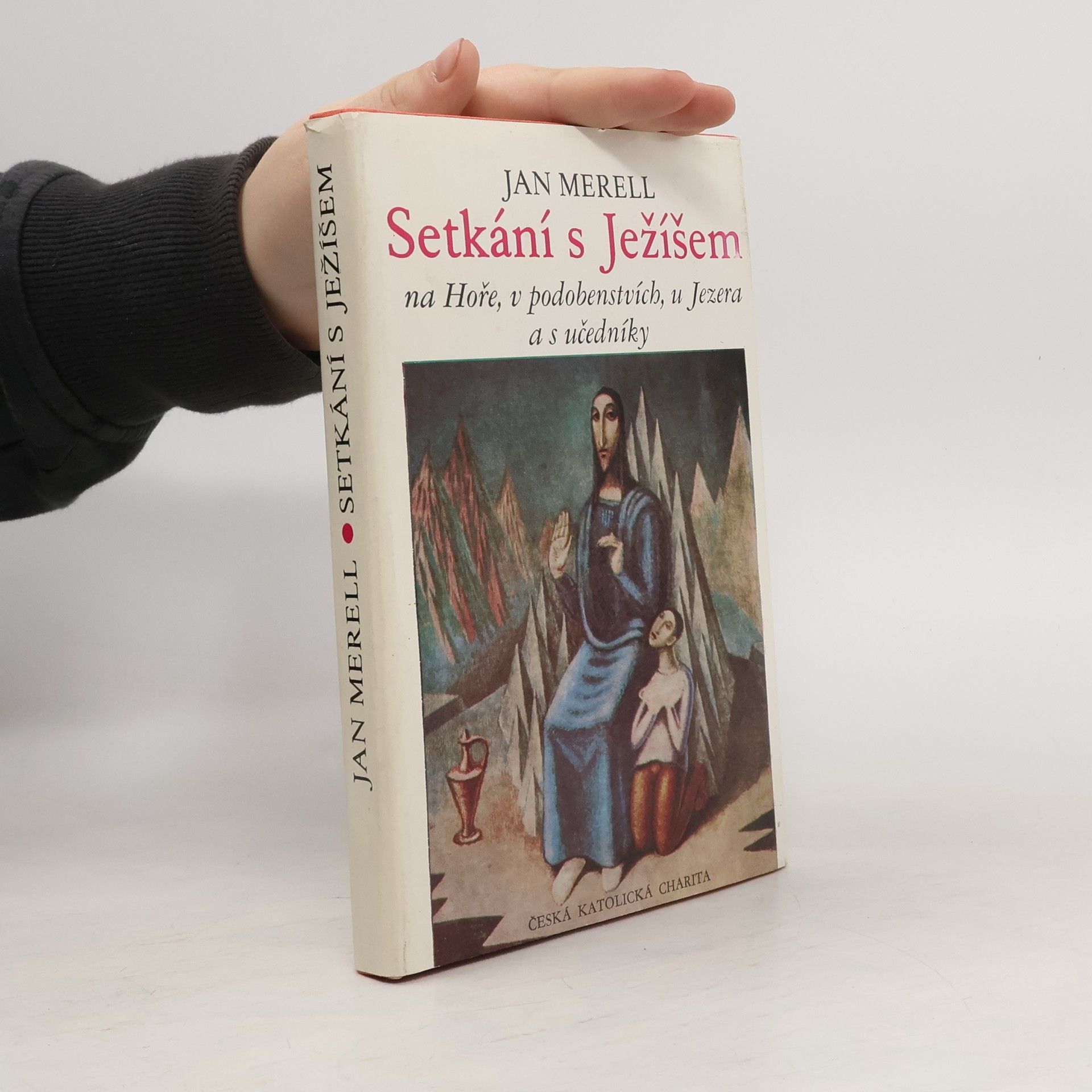 Jan Merell Setkání s Ježíšem na Hoře, v podobenstvích, u Jezera a s učedníky