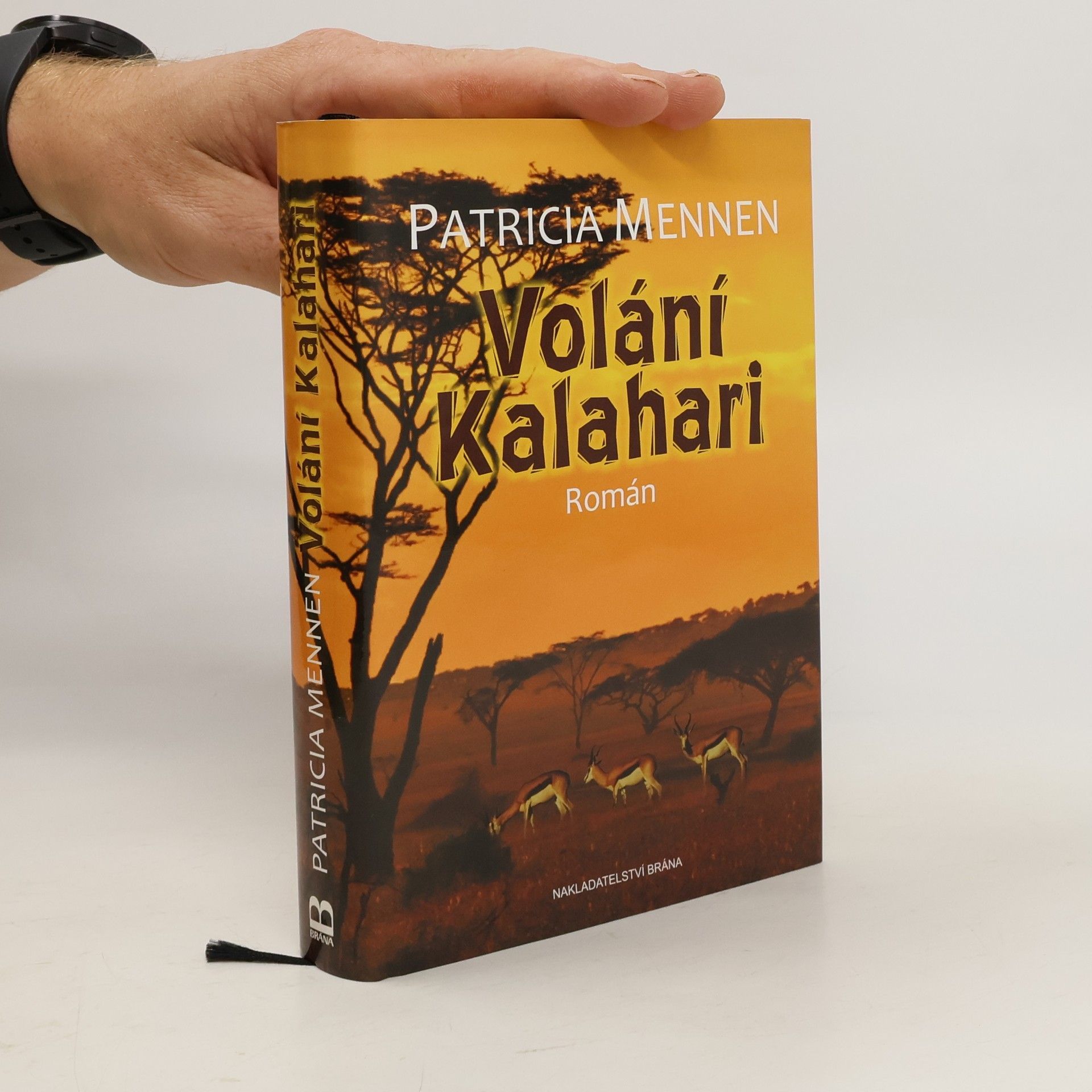 Patricia Mennen Volání Kalahari