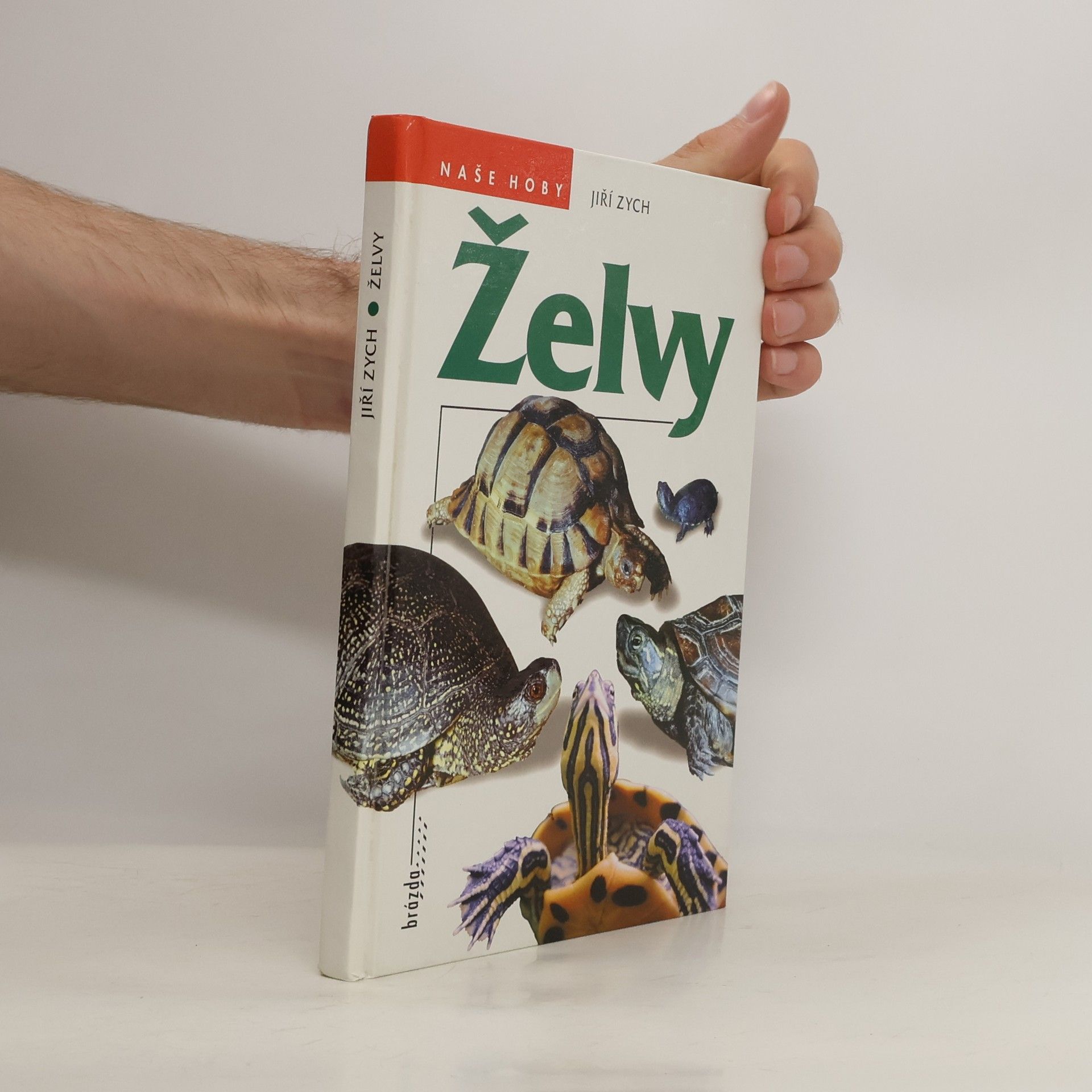 Jiří Zych Želvy