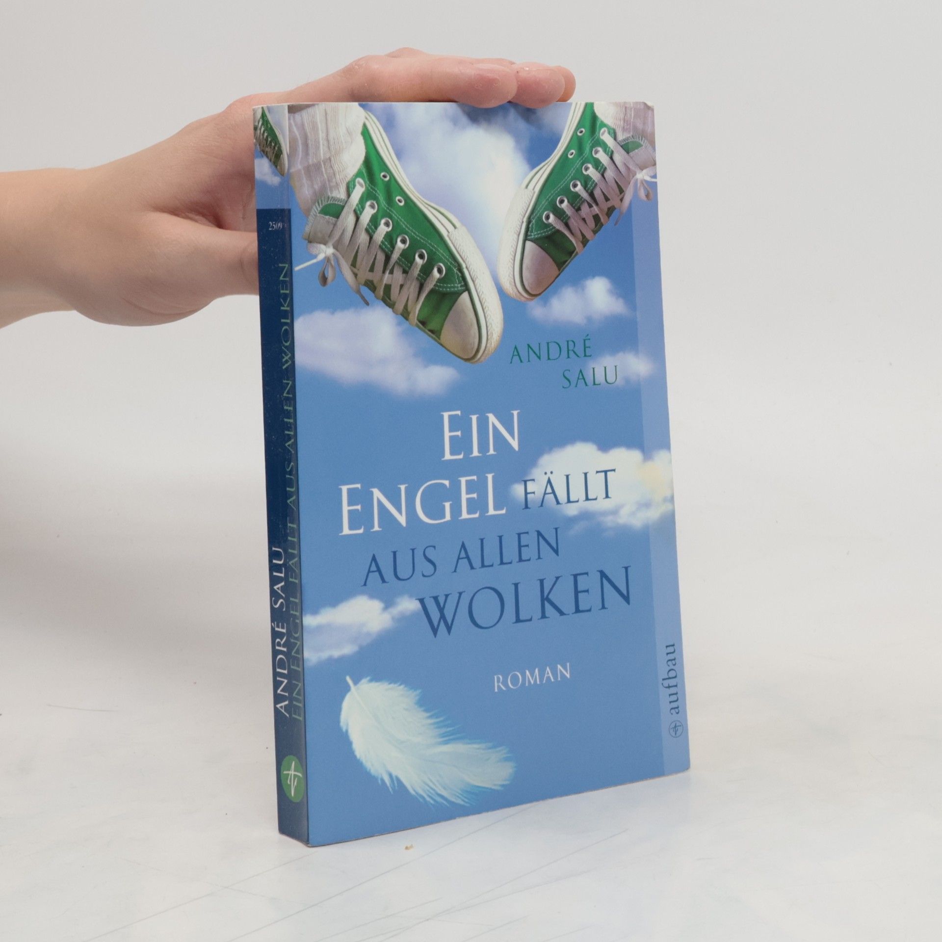 Andre Salu Ein Engel fällt aus allen Wolken