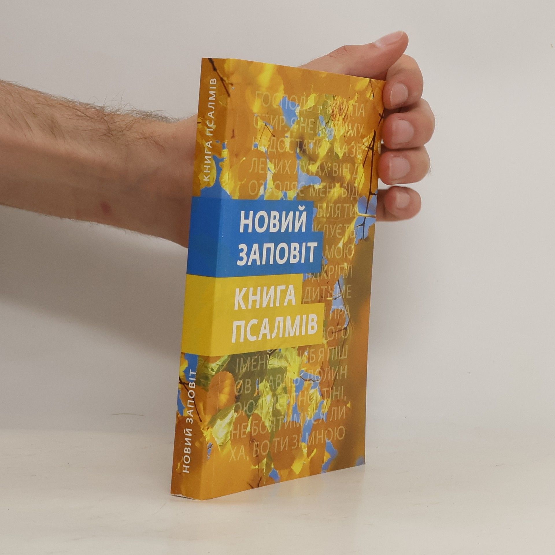 Autorenkollektiv Новий заповіт. Книга псалмів (Novyy zapovit. Knyha psalmiv)