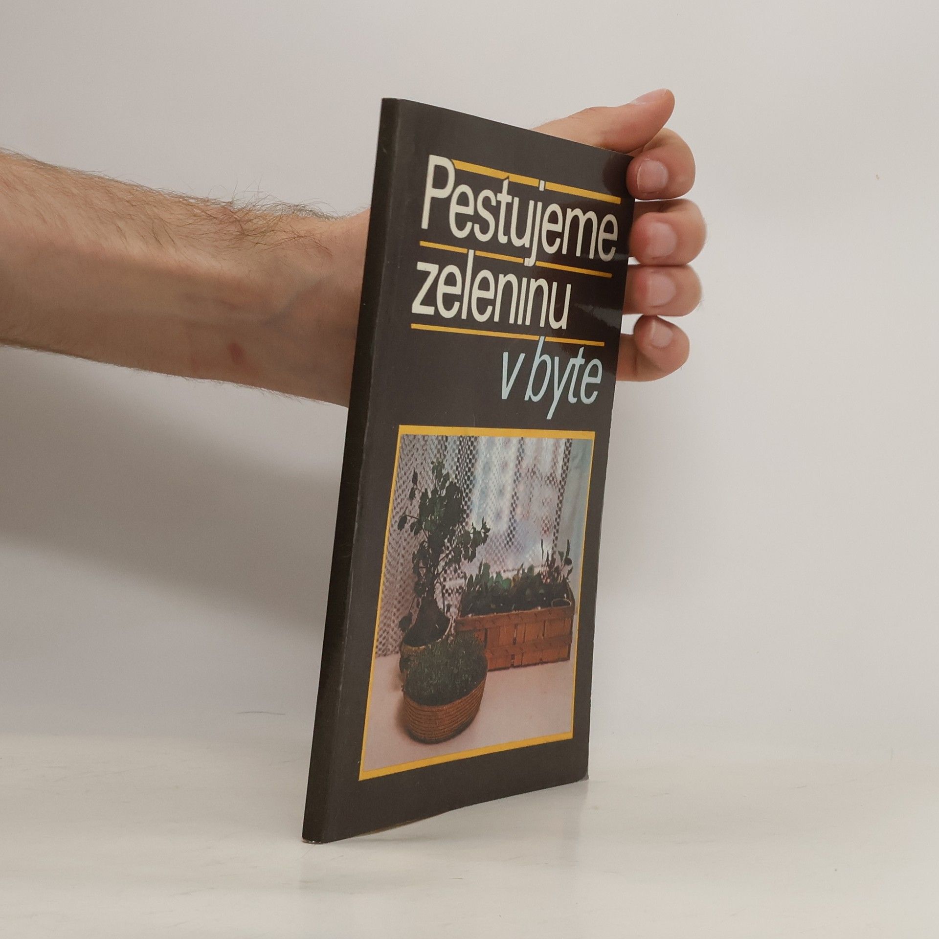 N. Bogdanova Pestujeme zeleninu v byte