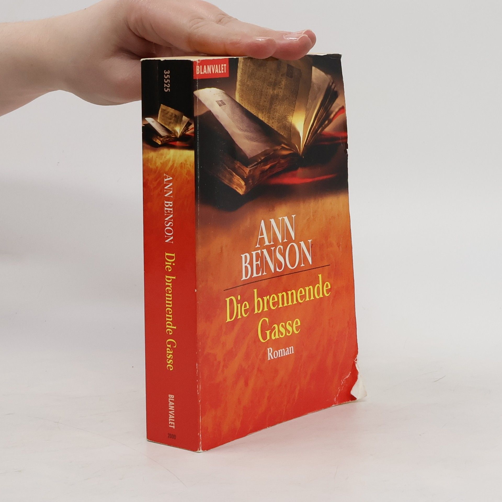 Ann Benson Die brennende Gasse
