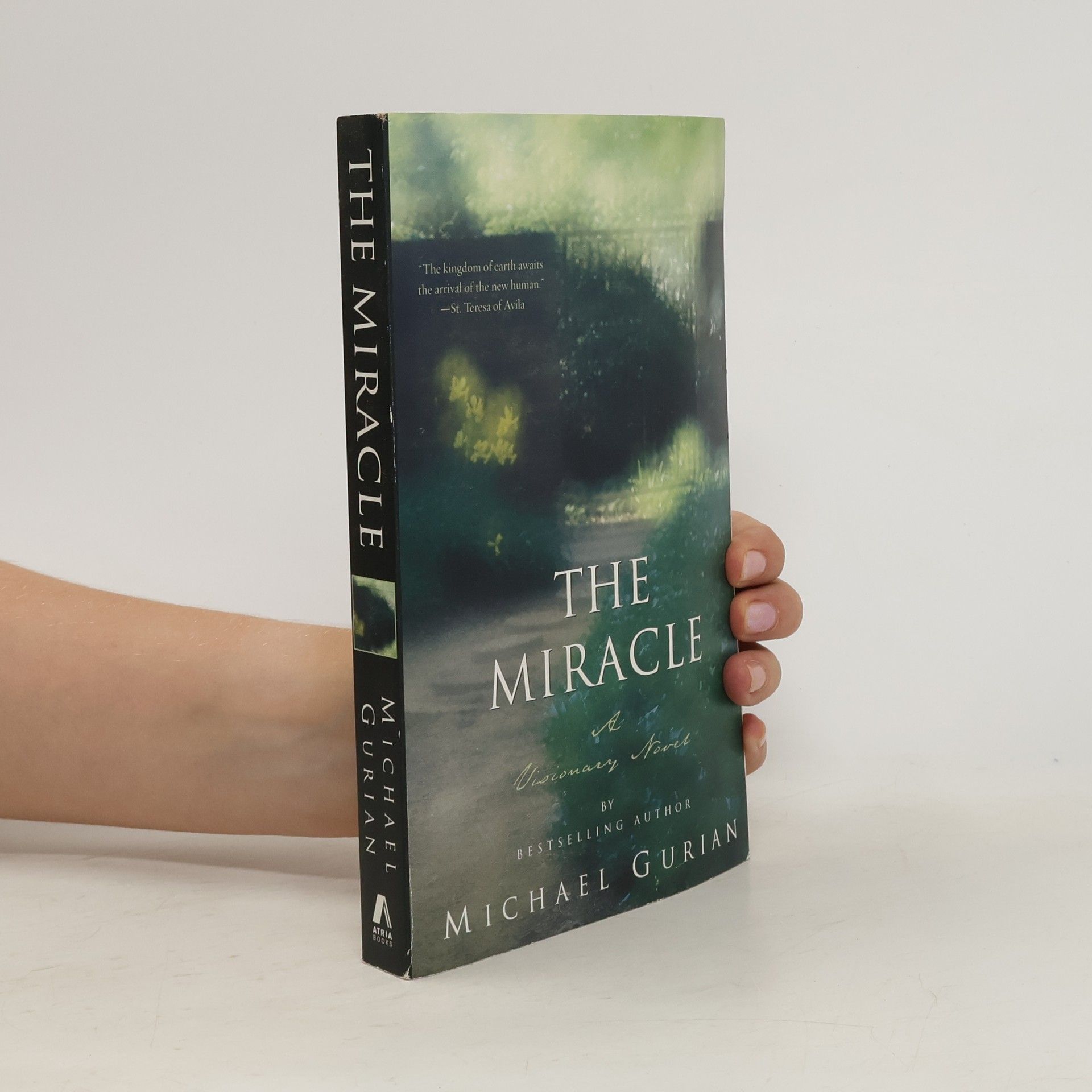 Michael Gurian The Miracle