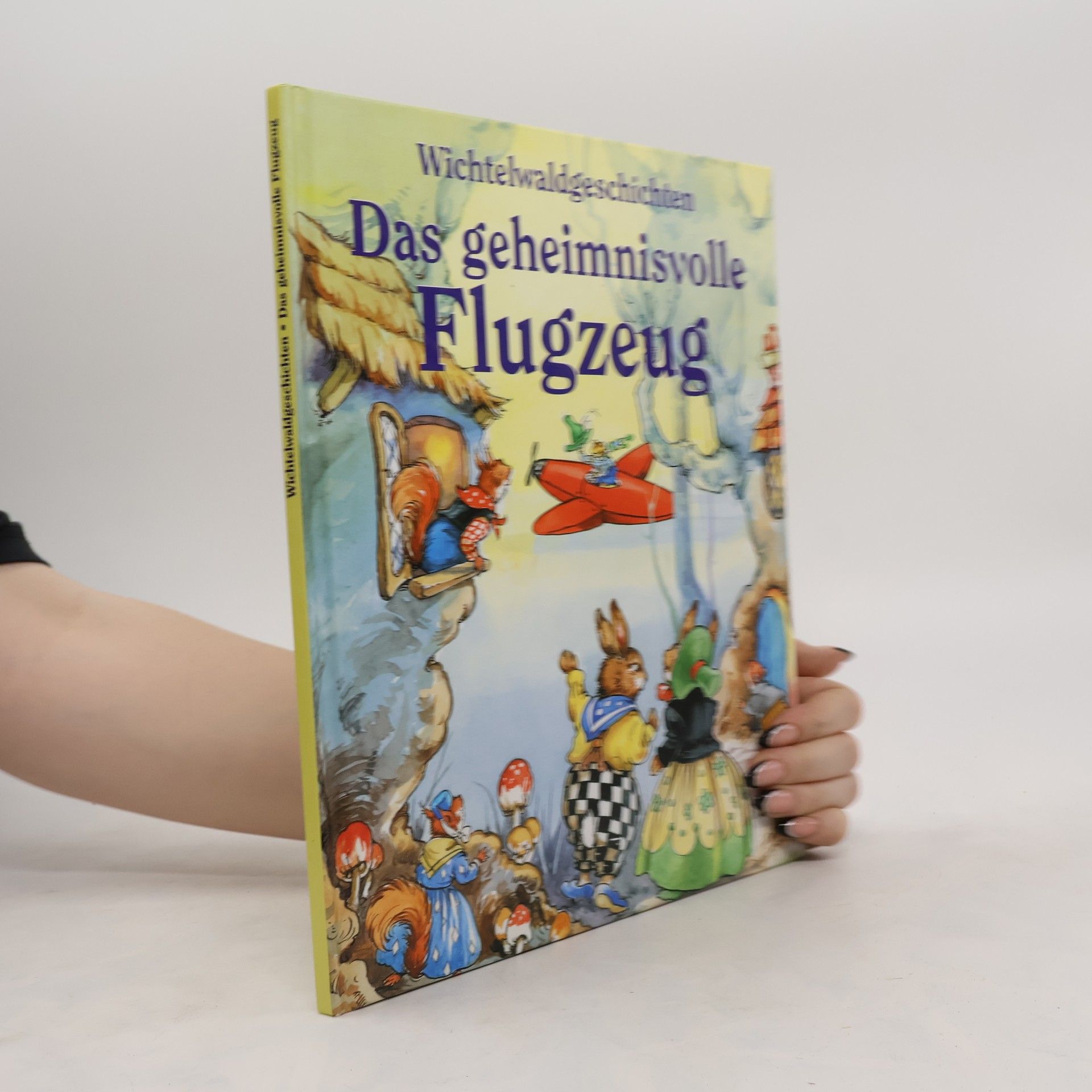 René Cloke Das geheimnisvolle Flugzeug
