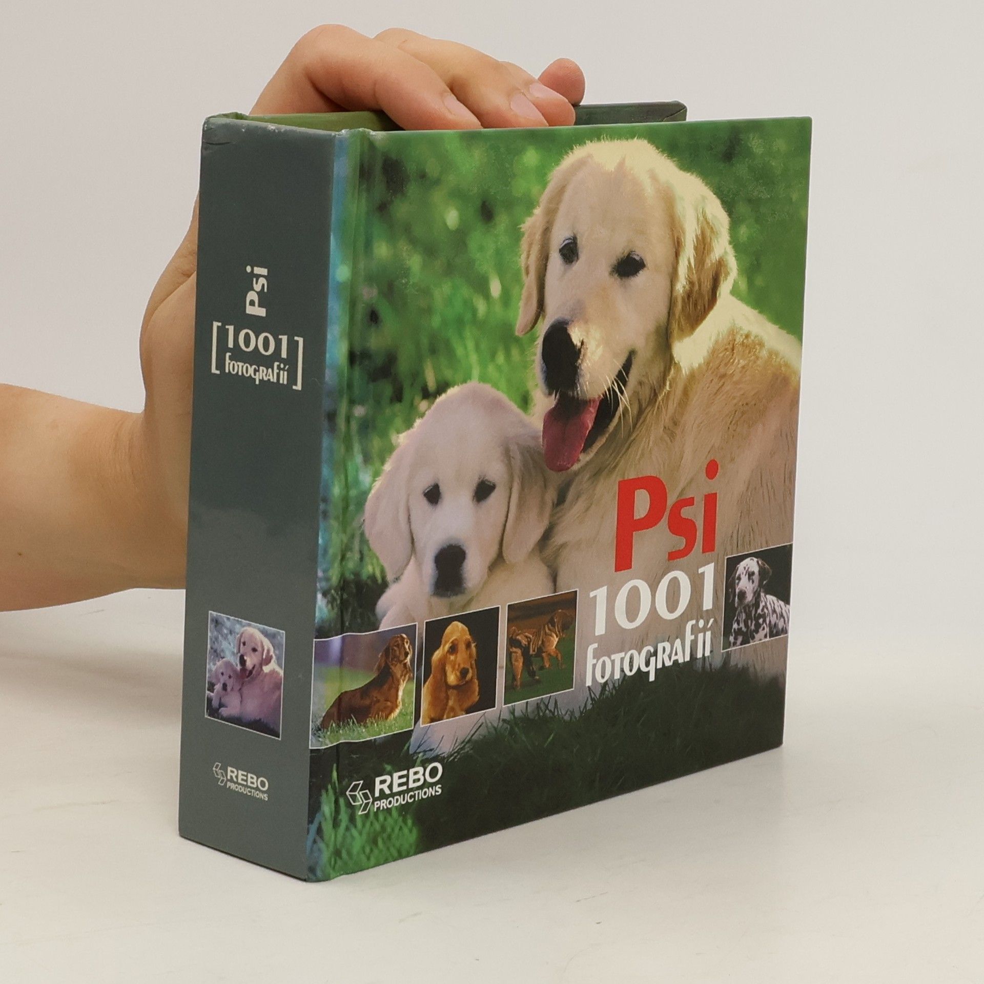 Hana Zástěrová Psi - 1001 fotografií