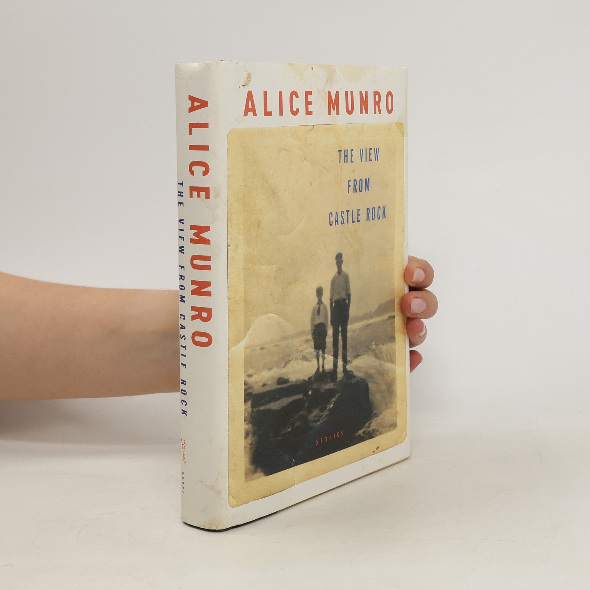 Alice Munro The View from Castle Rock
