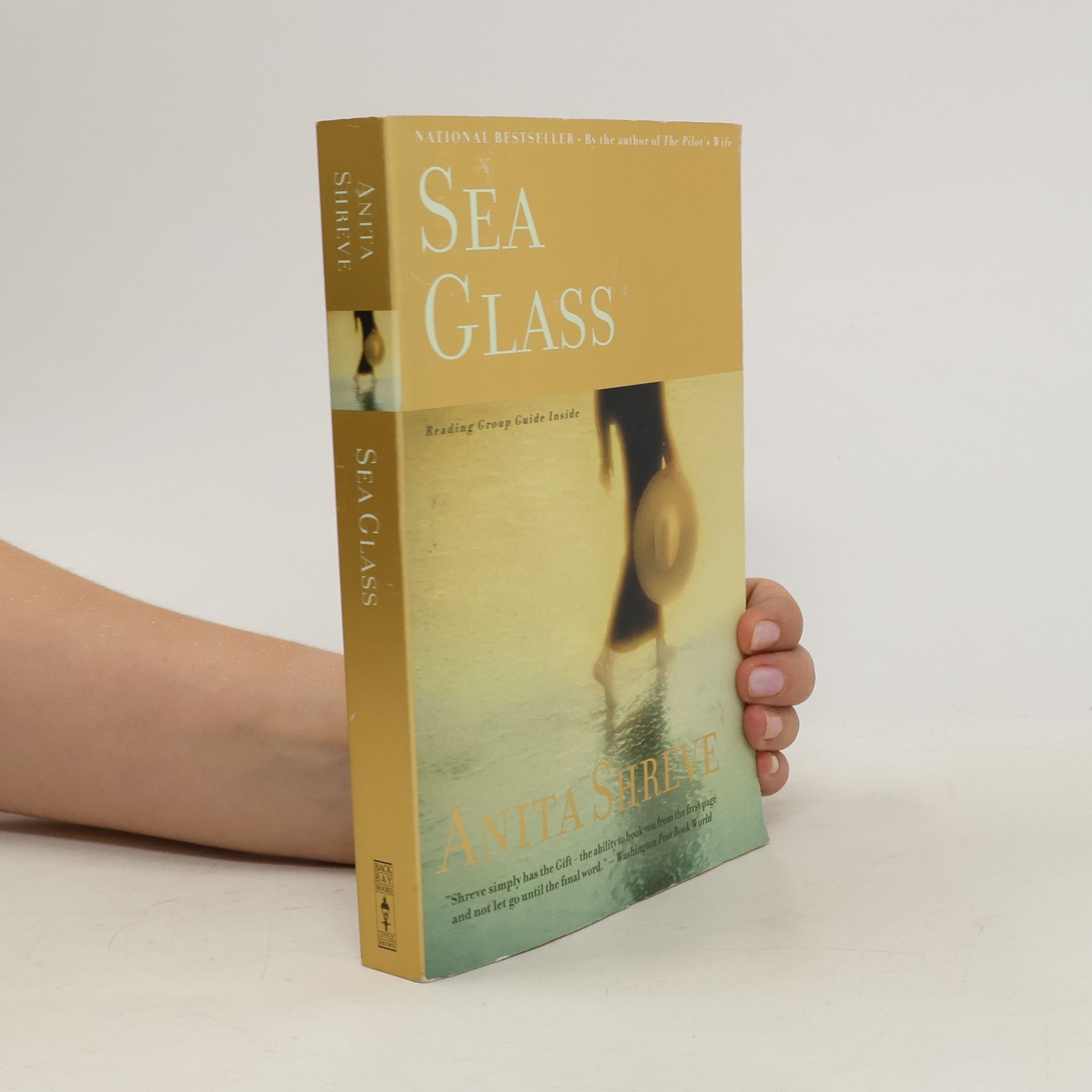 Anita Shreve Sea Glass