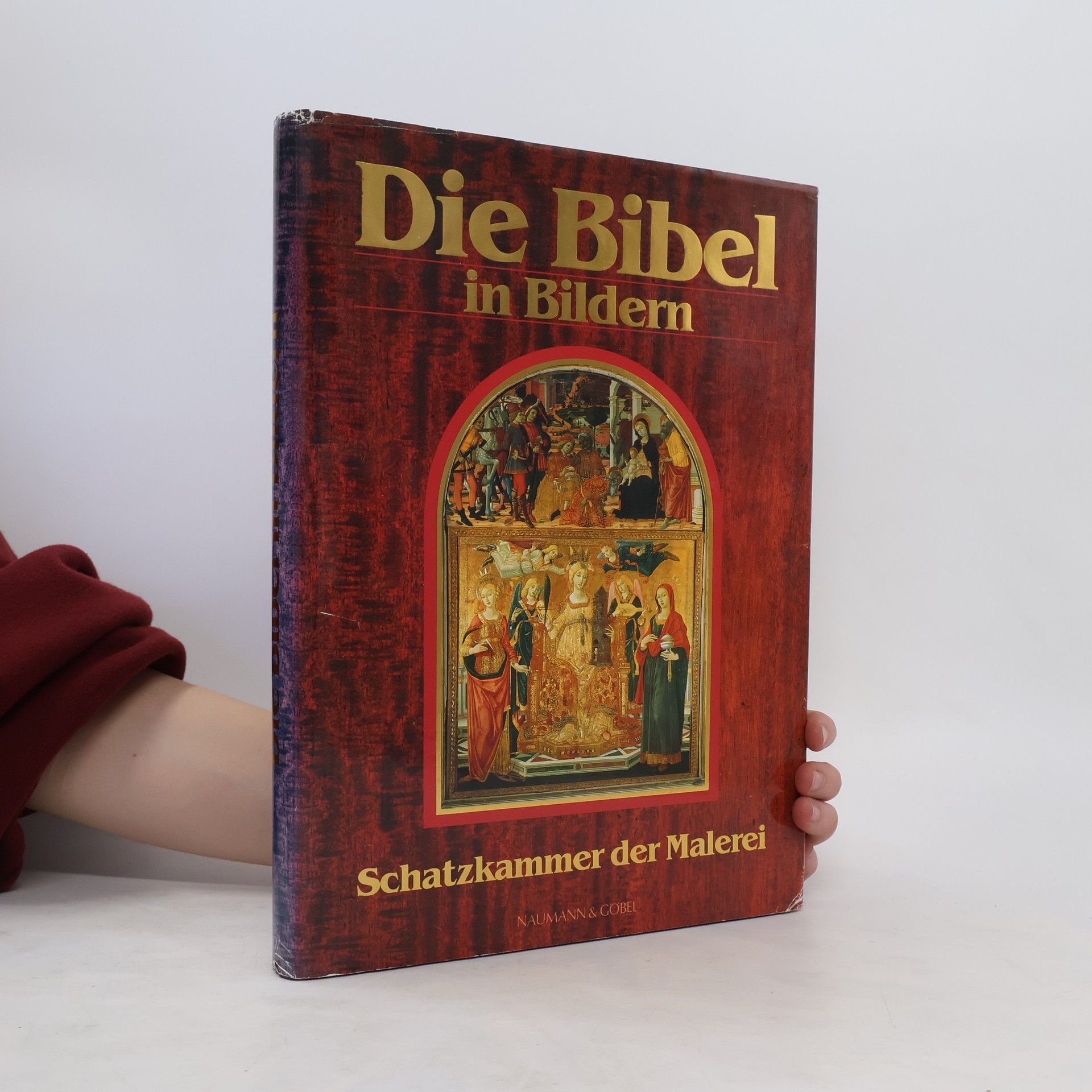 Autorenkollektiv Die Bibel in Bildern. Schatzkammer der Malerei
