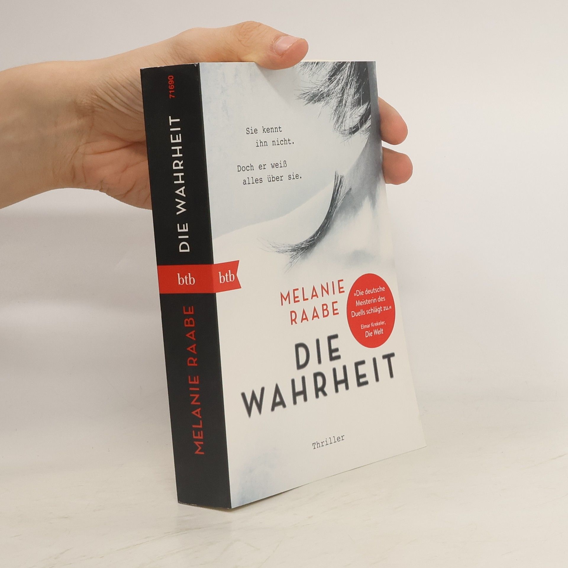 Melanie Raabe Die Wahrheit
