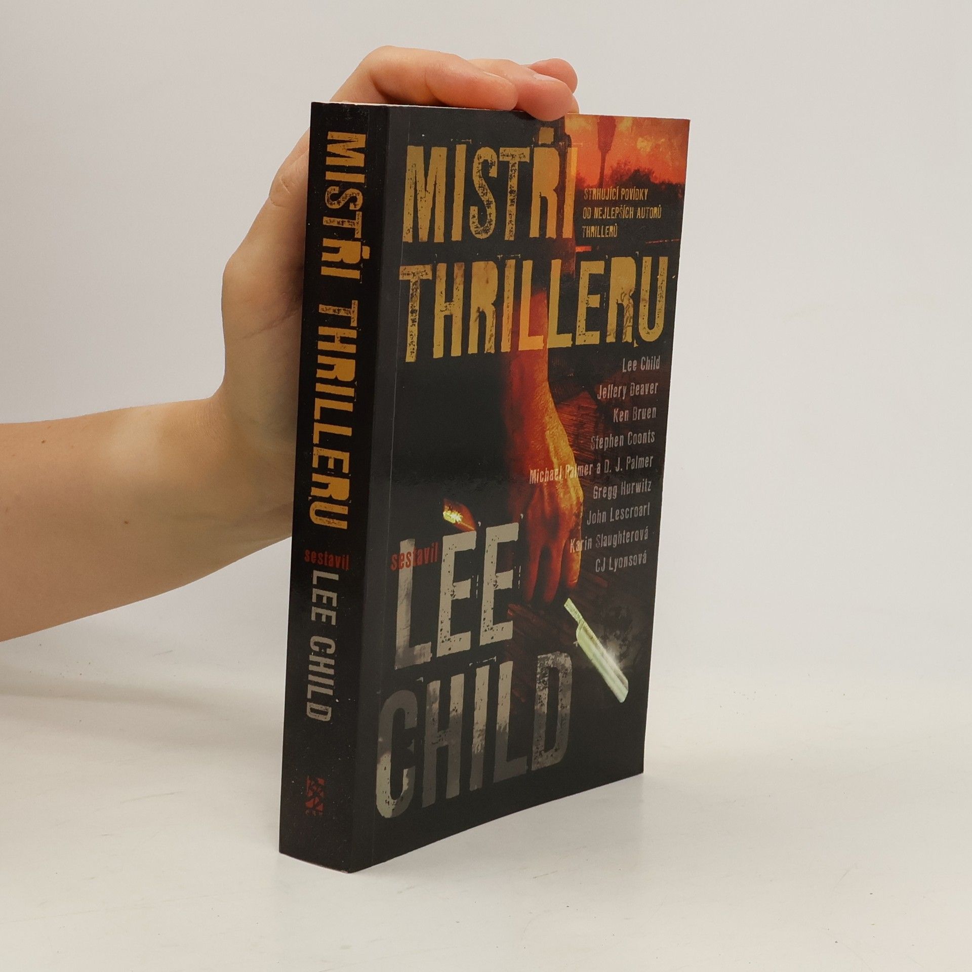 Lee Child Mistři thrilleru: Strhující povídky od nejlepších autorů thrillerů