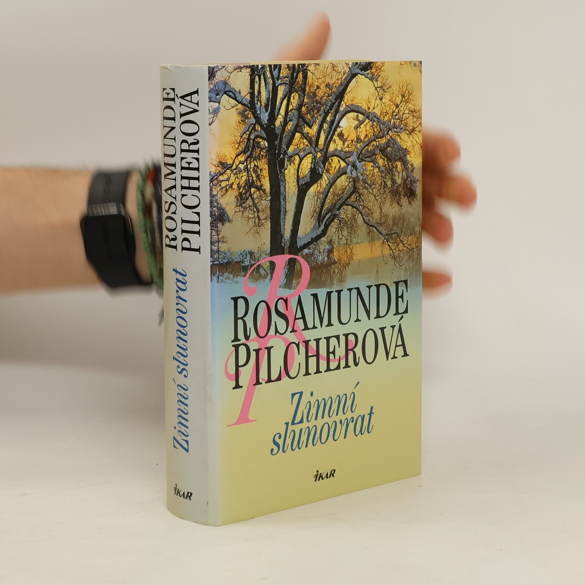 Rosamunde Pilcher Zimní slunovrat