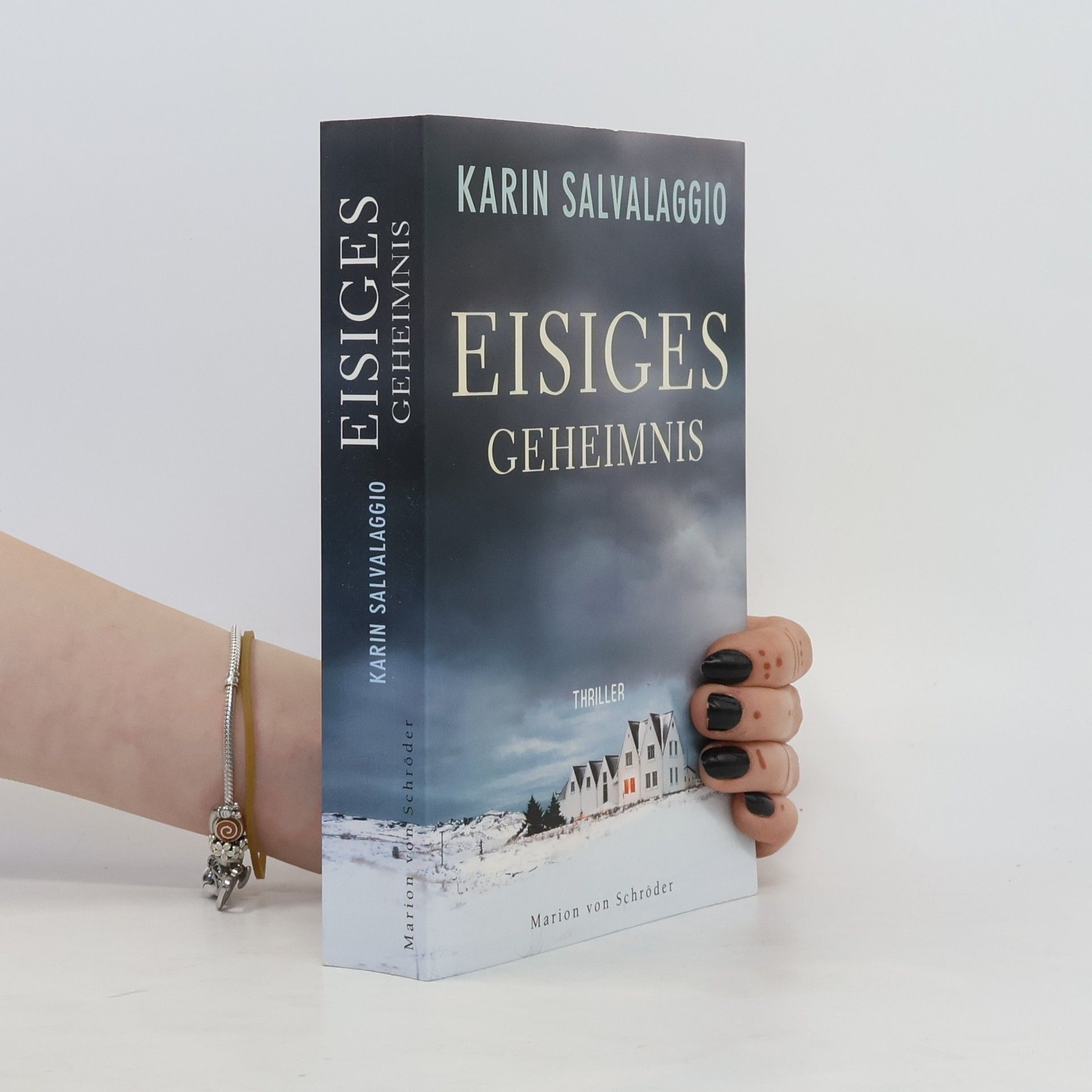 Karin Salvalaggio Eisiges Geheimnis