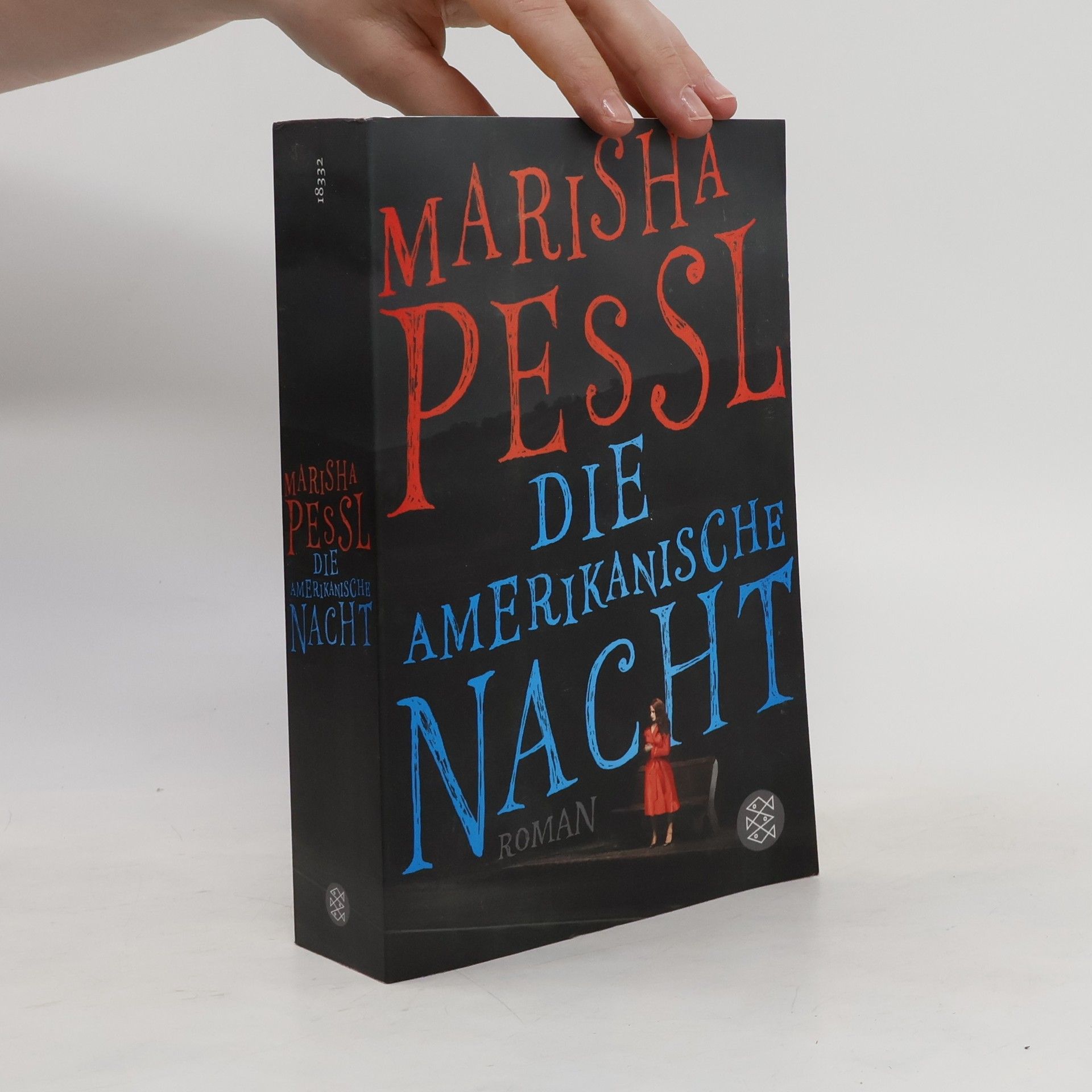 Marisha Pessl Die amerikanische Nacht