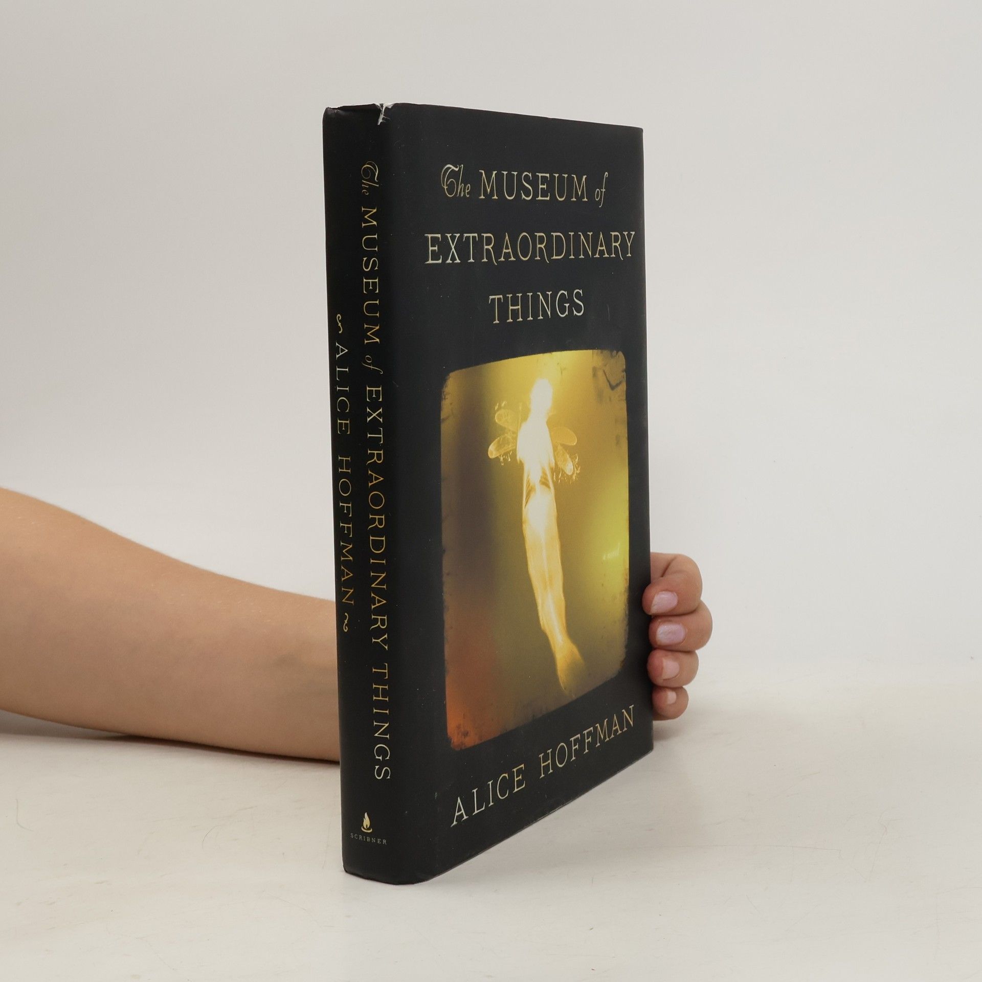 Alice Hoffman The Museum of Extraordinary Things