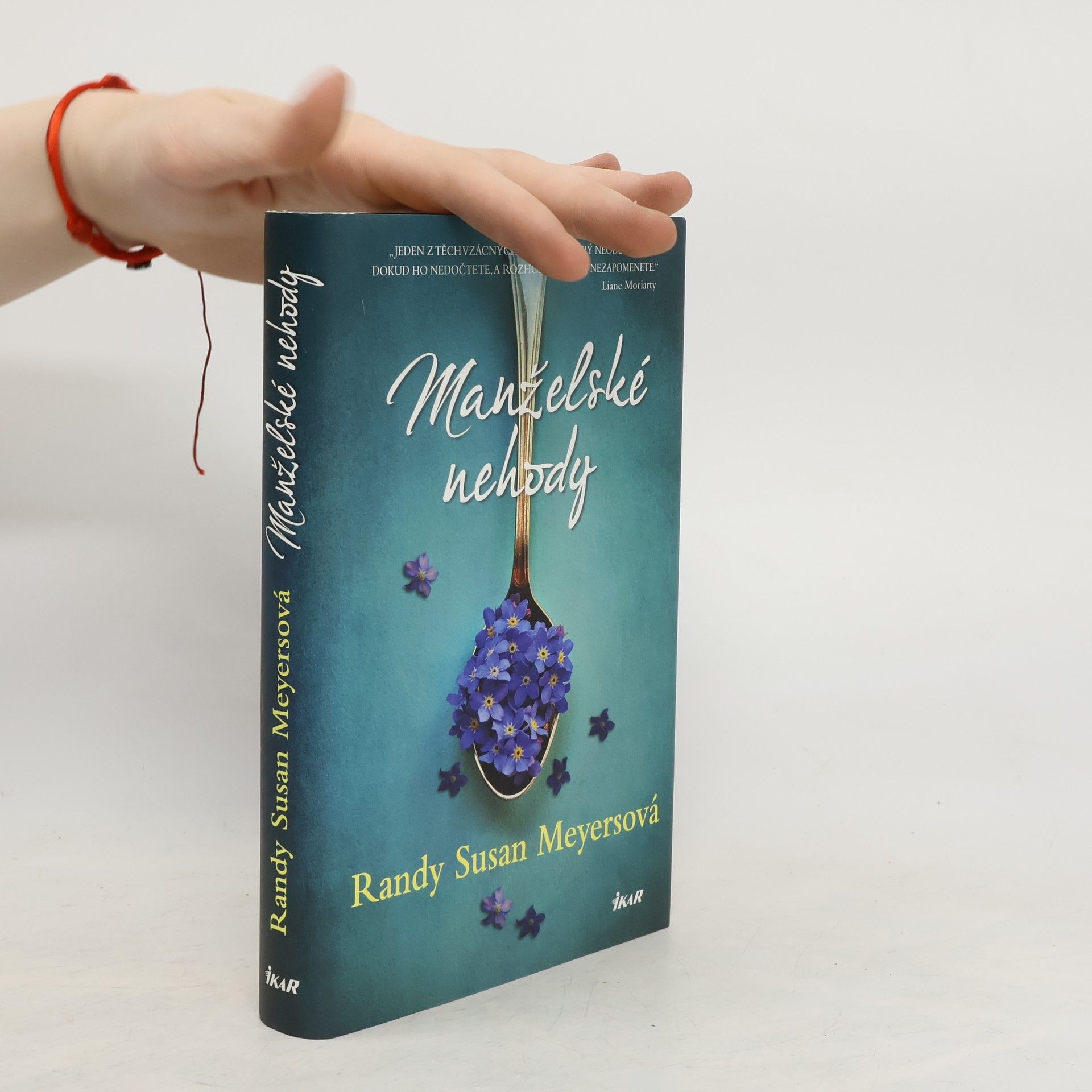Randy Susan Meyers Manželské nehody