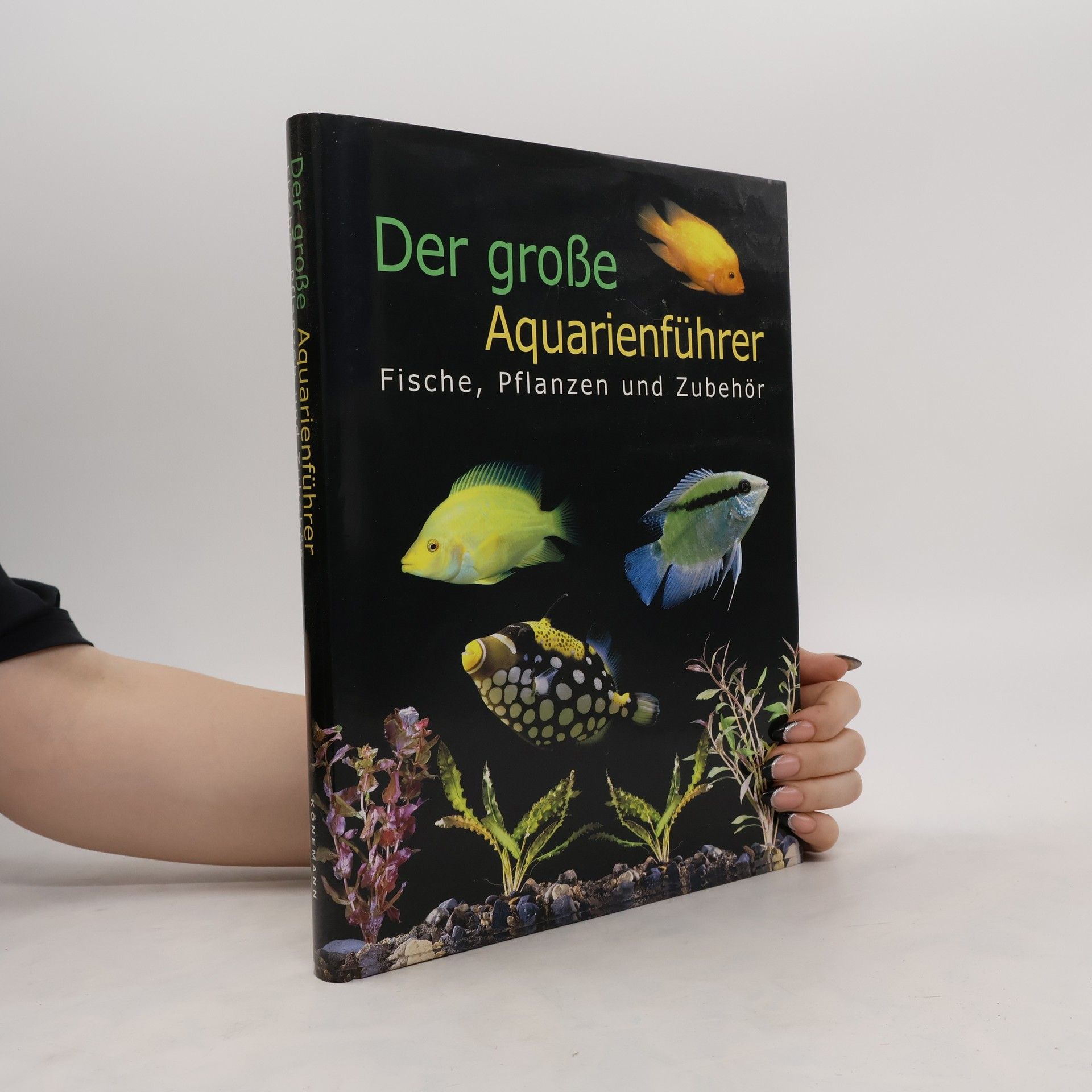 Autorenkollektiv Der große Aquarienführer