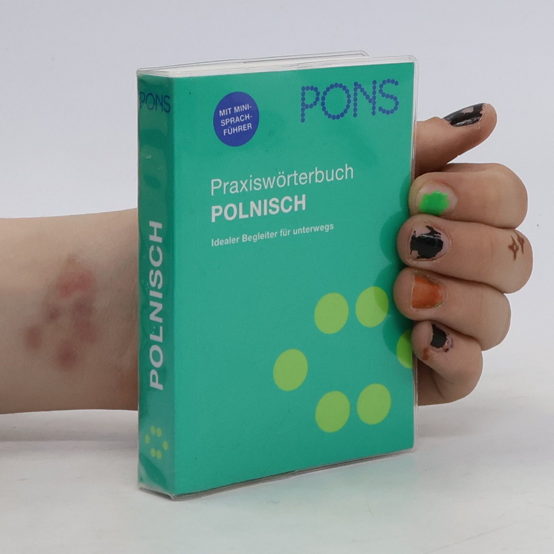 Krzysztof Petelenz PONS Praxiswörterbuch