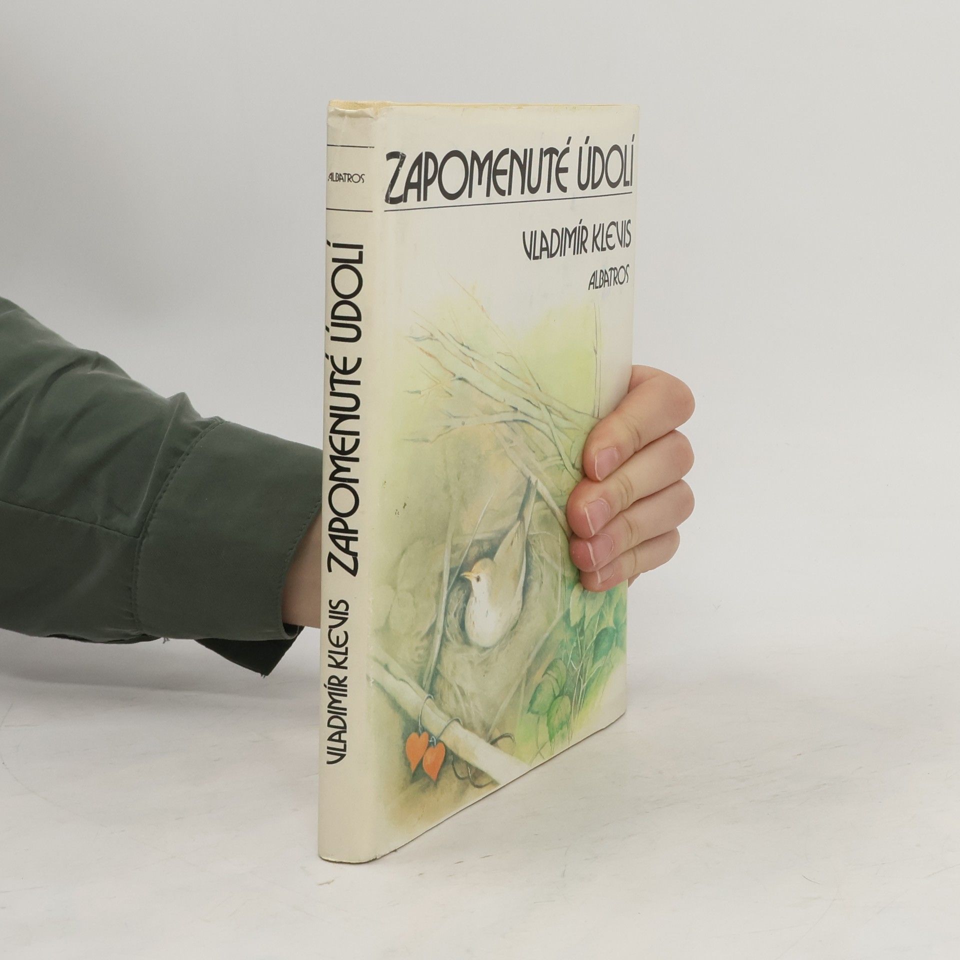Vladimír Klevis Zapomenuté údolí