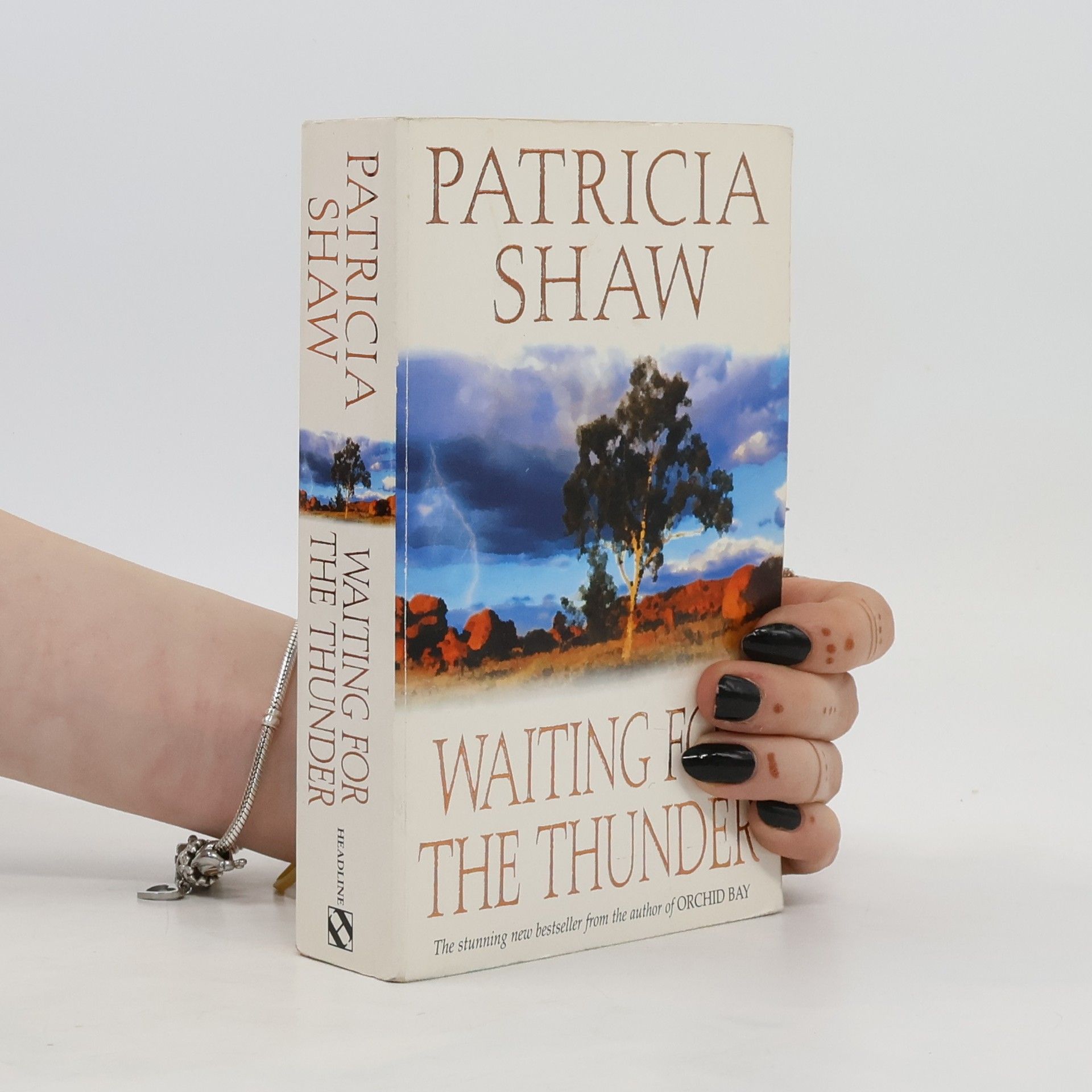 Patricia Shaw Waiting for the Thunder