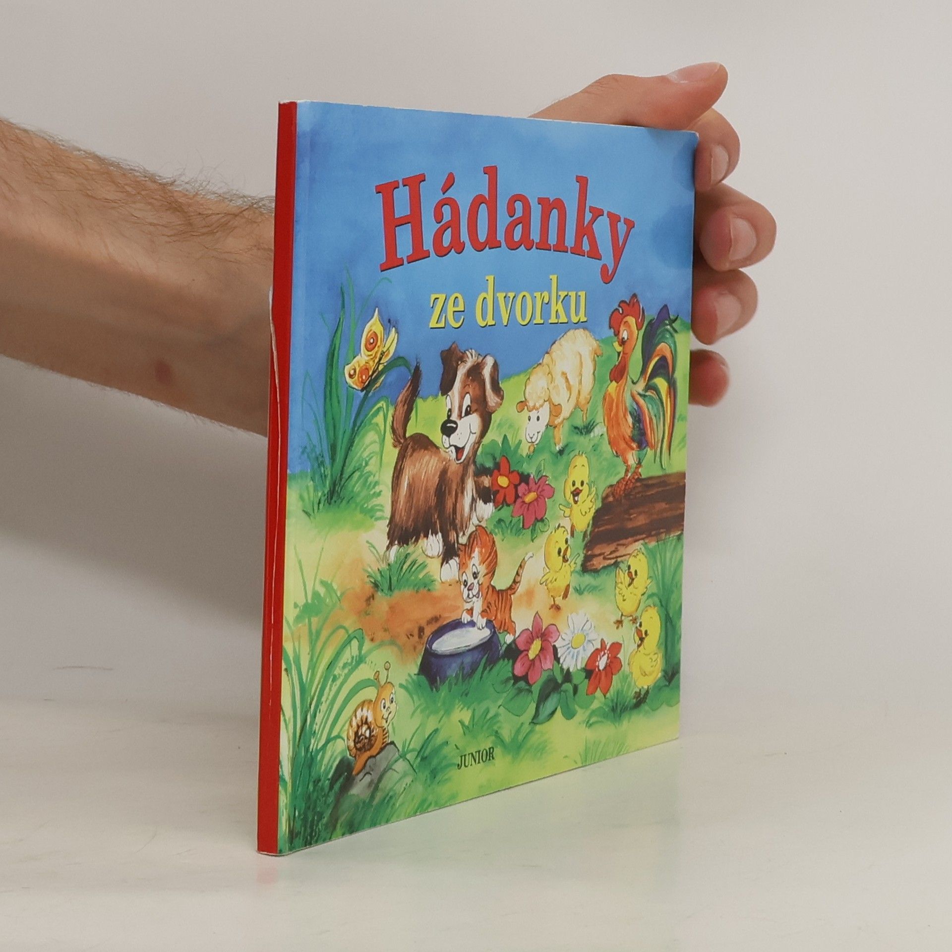 Zuzana Pospíšilová Hádanky ze dvorku