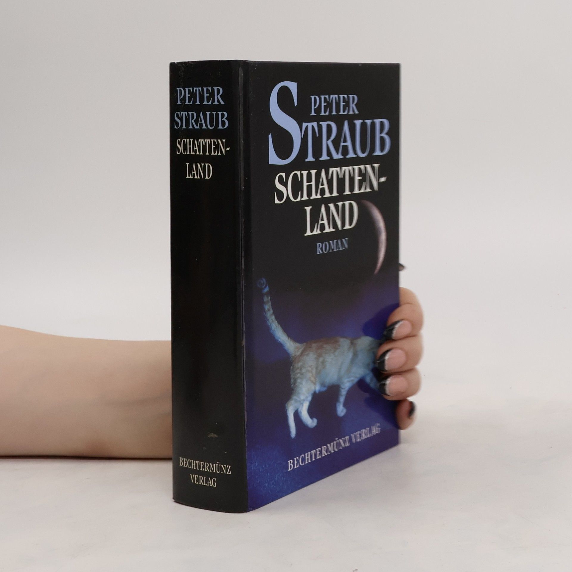 Peter Straub Schattenland
