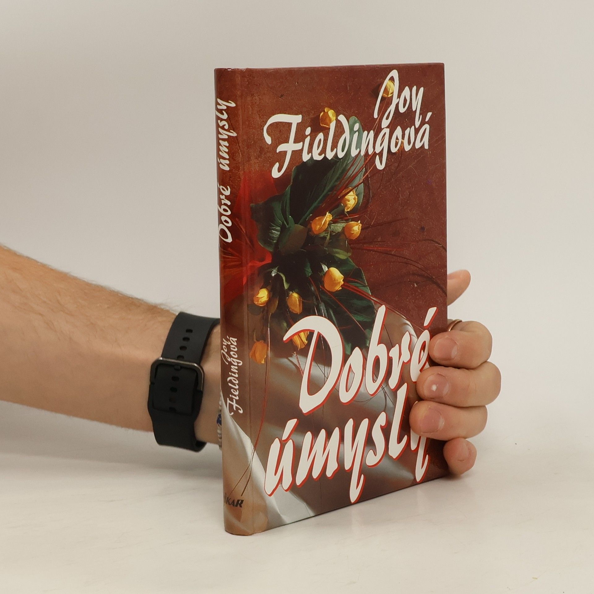 Joy Fielding Dobré úmysly