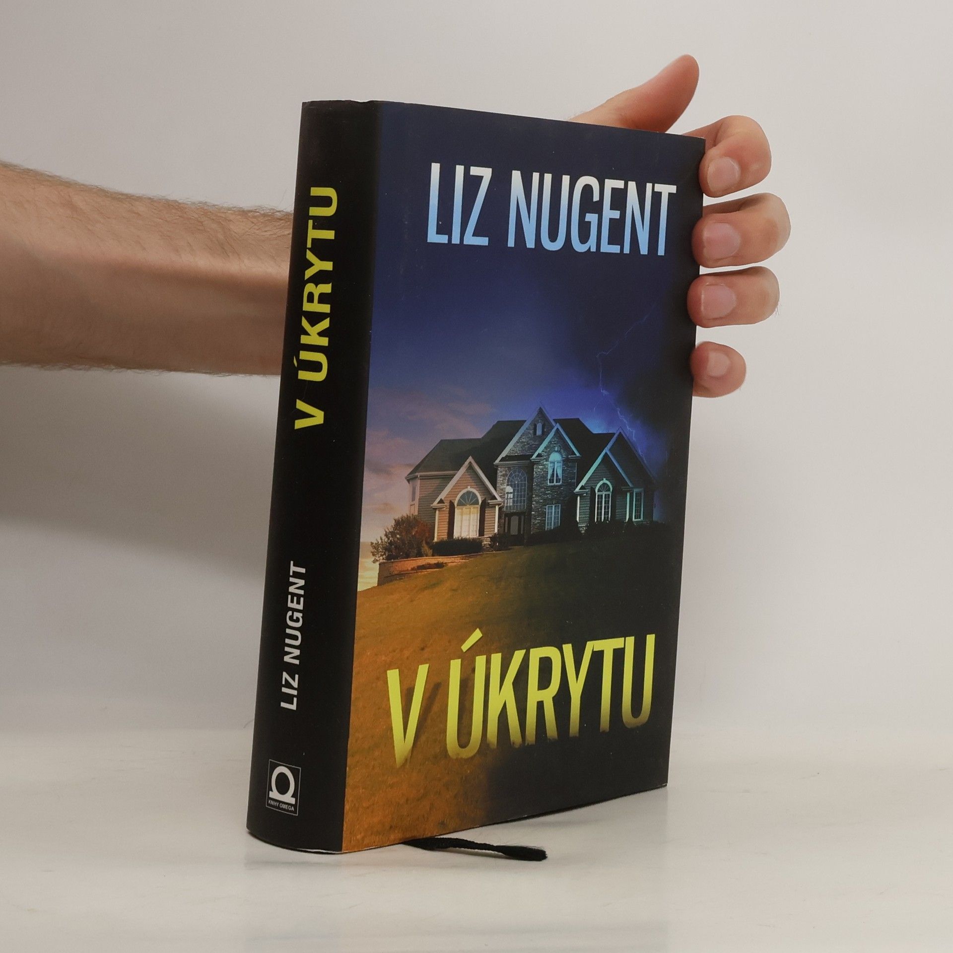 Liz Nugent V úkrytu