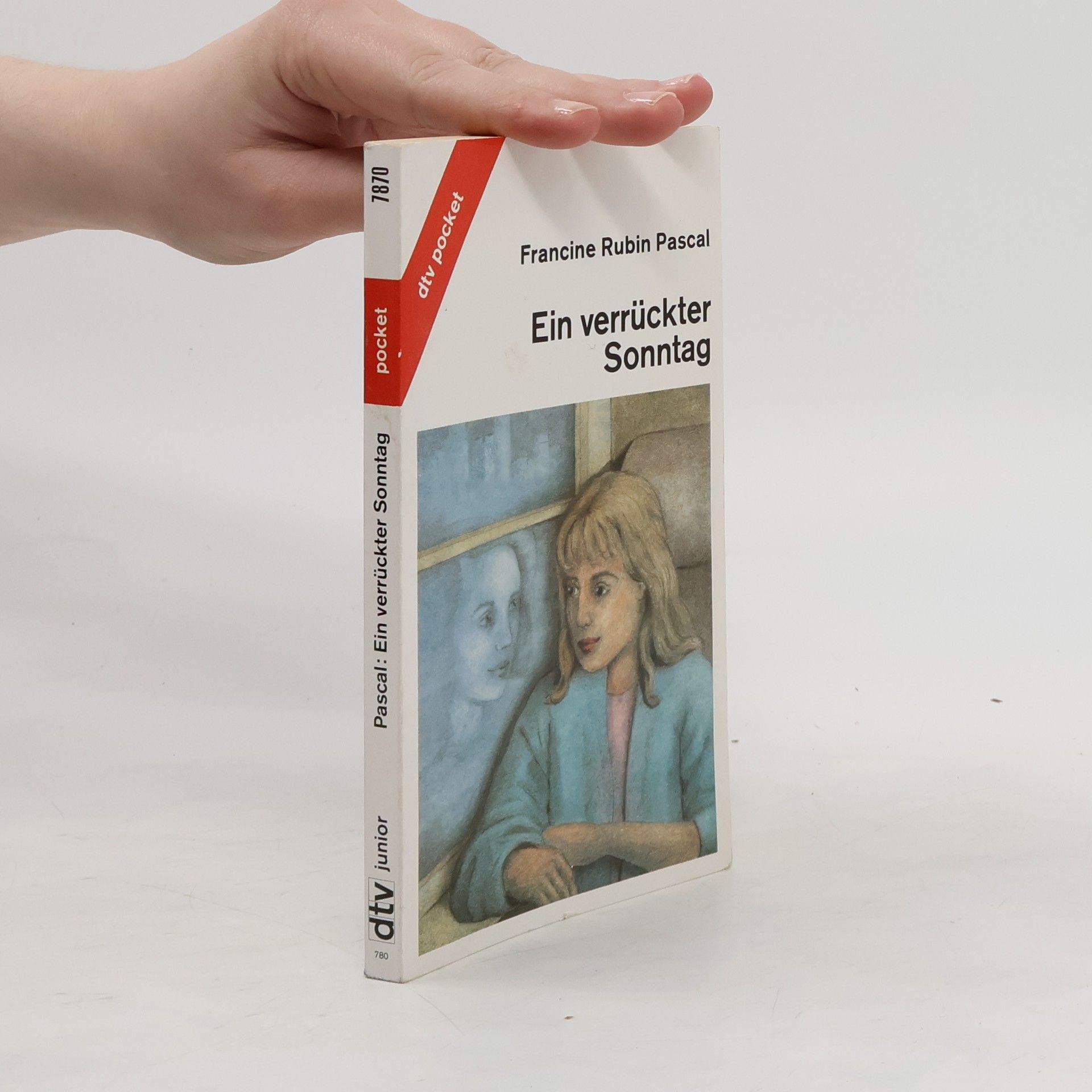 Francine Rubin Pascal Ein verrückter Sonntag.