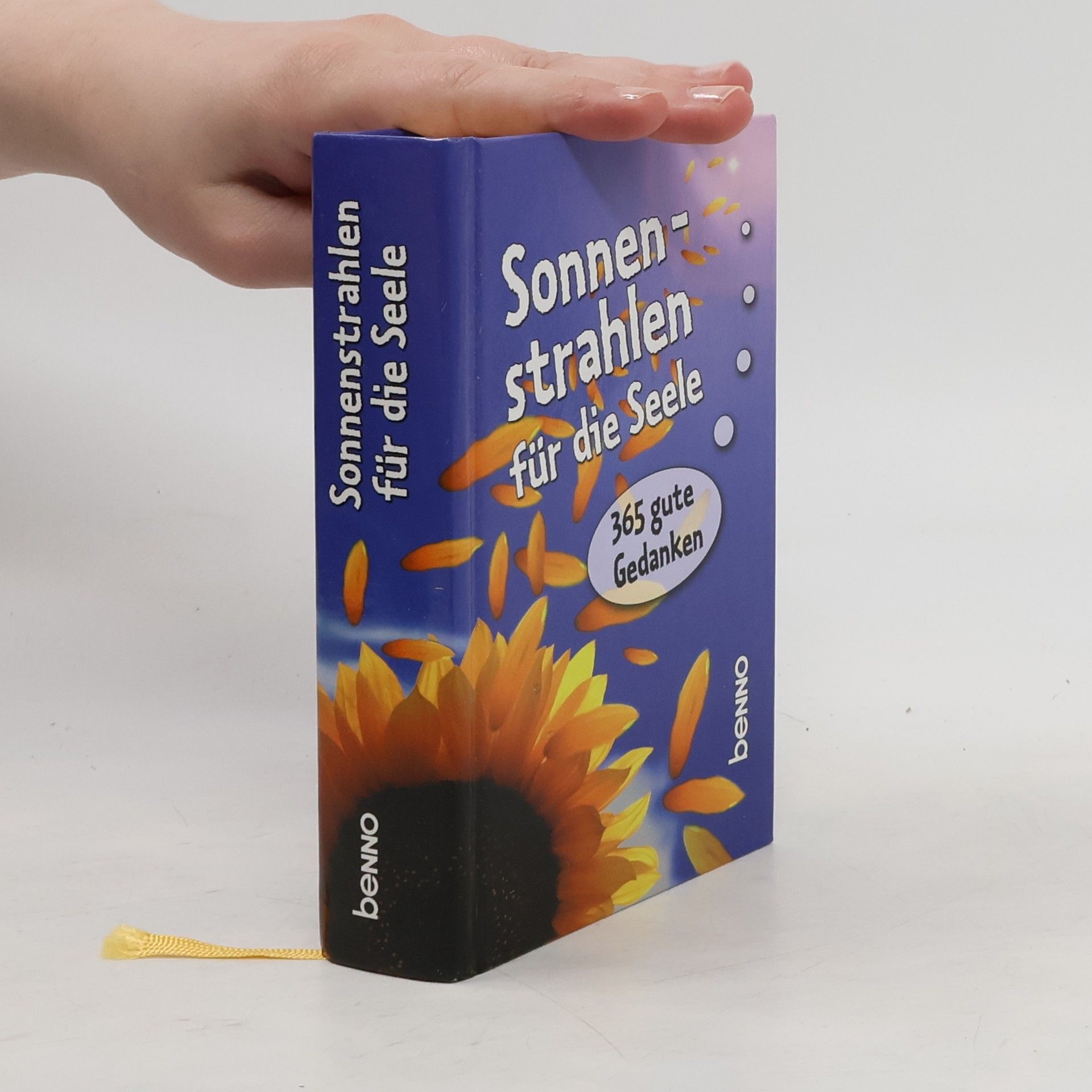 Volker Bauch Sonnenstrahlen für die Seele