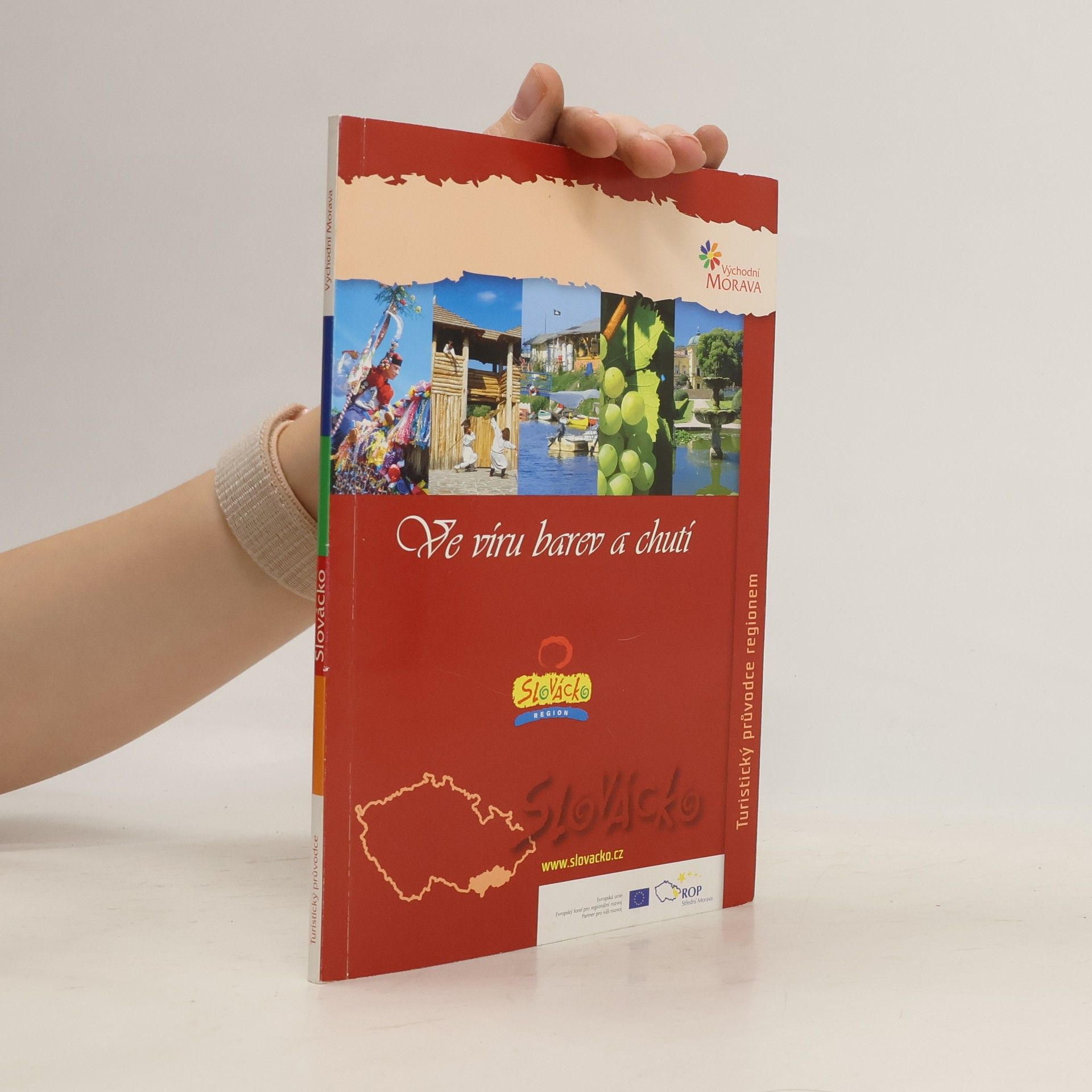 Kolektív autorov Ve víru barev a chutí