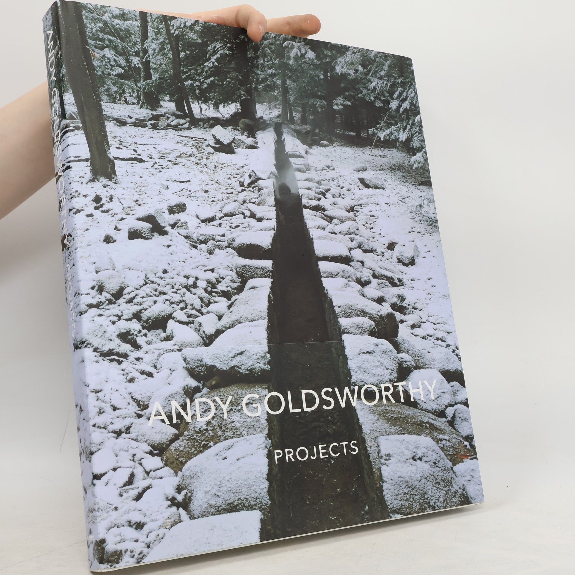 Andy Goldsworthy Andy Goldsworthy : projects
