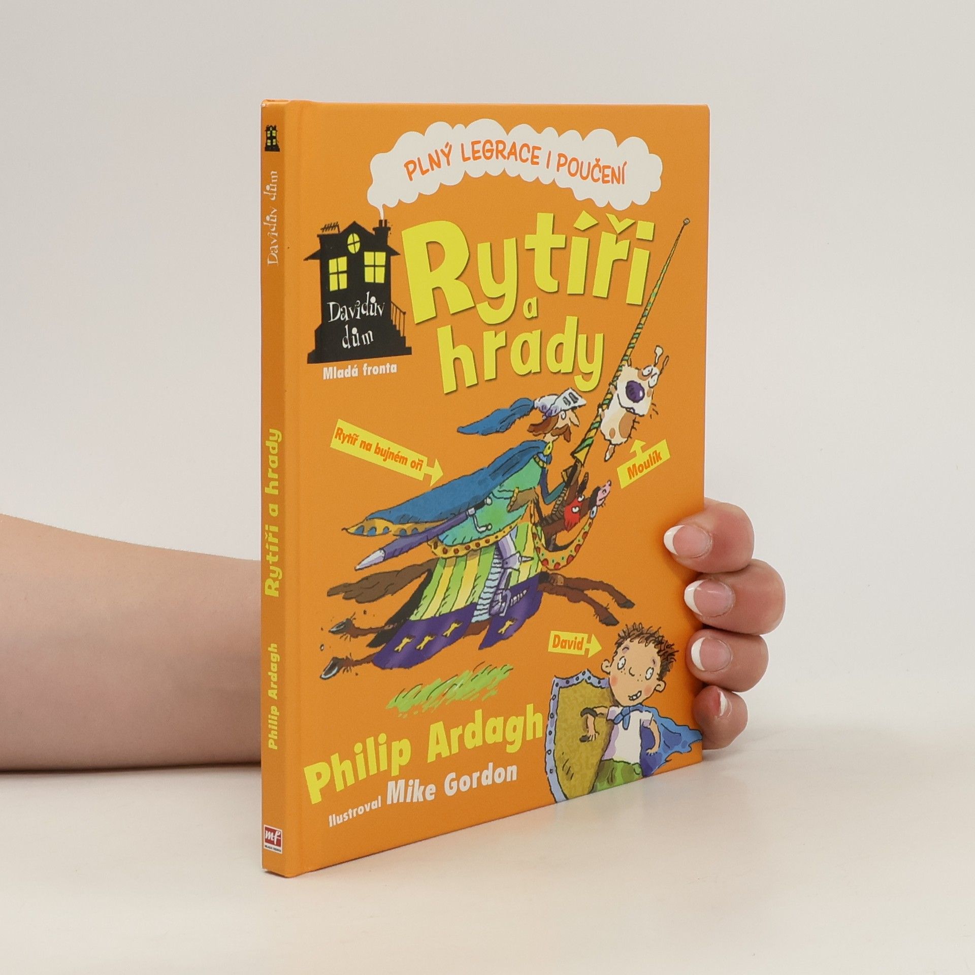 Philip Ardagh Davidův dům. Rytíři a hrady