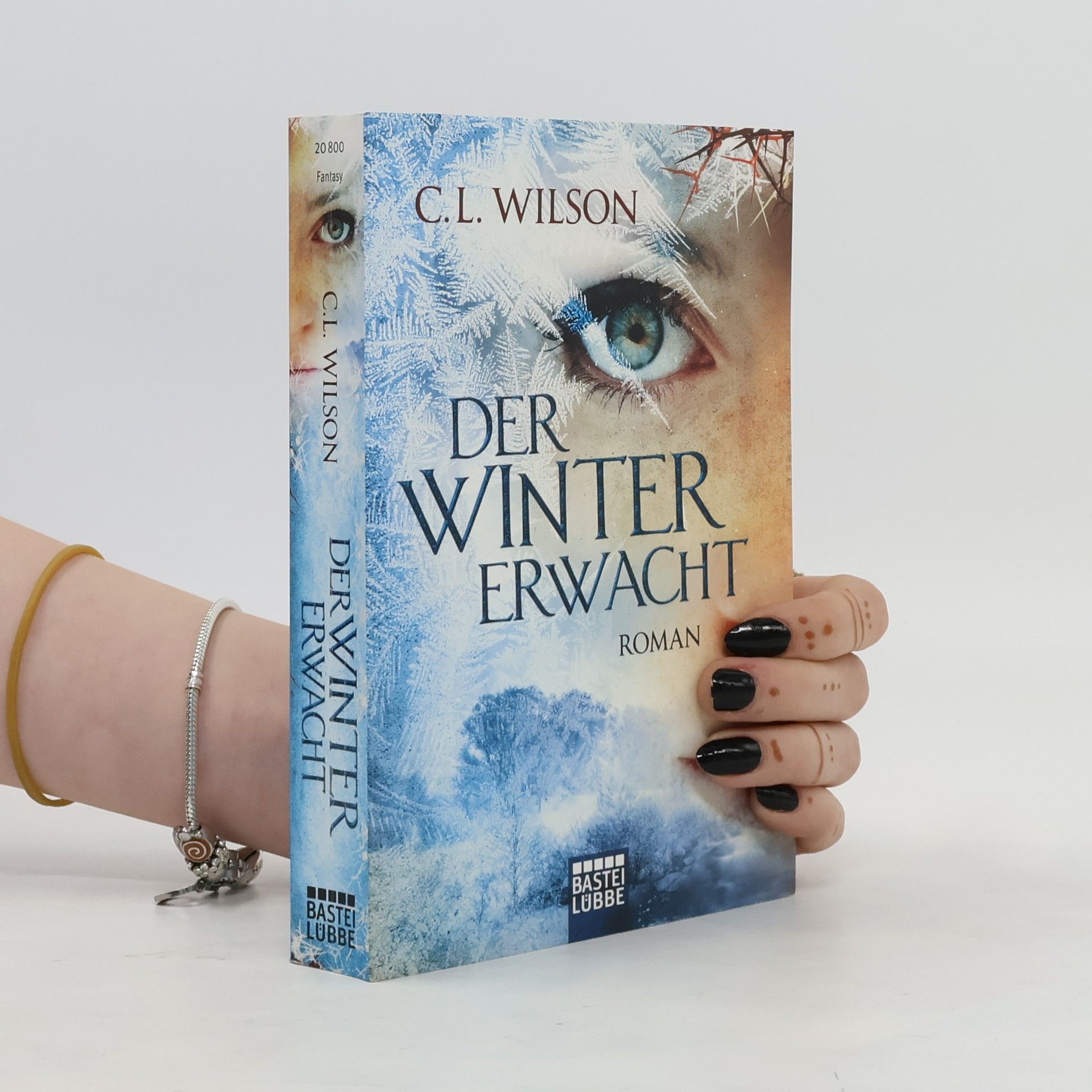 Cecil L. Wilson Der Winter Erwacht