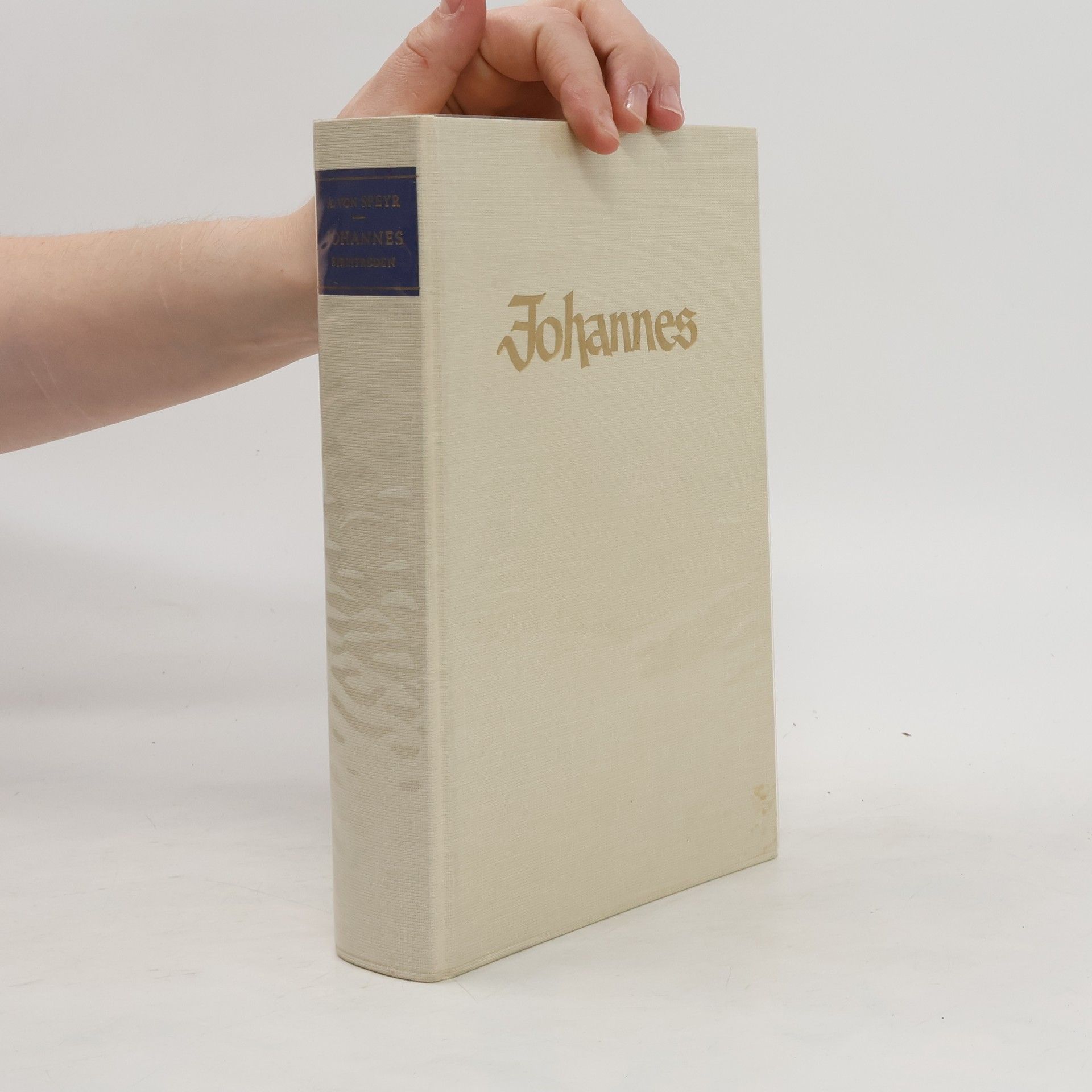 Adrienne von Speyr Johannes – Die Streitreden