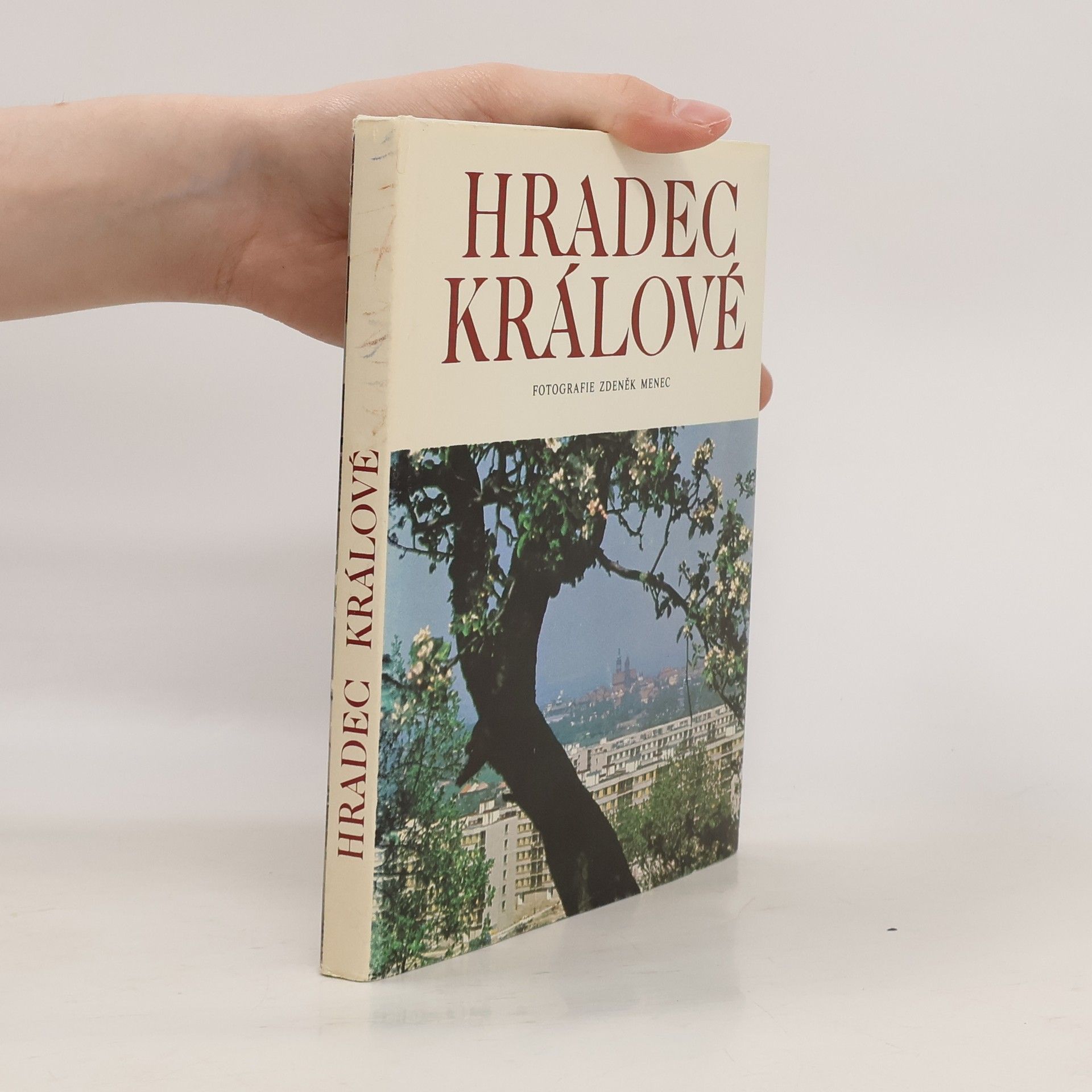 Zdeněk Menec Hradec Králové