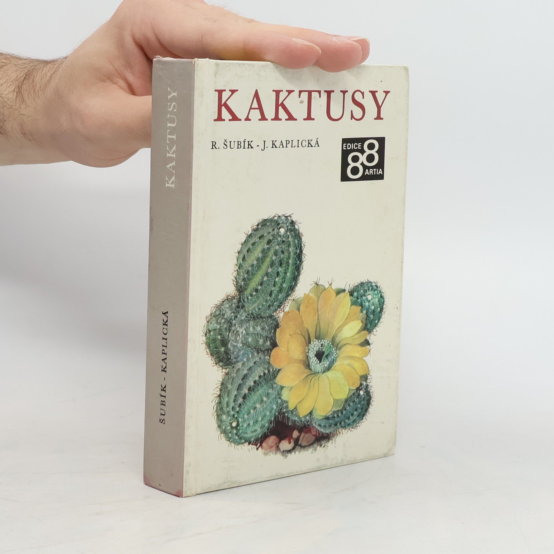 Rudolf Šubík Kaktusy