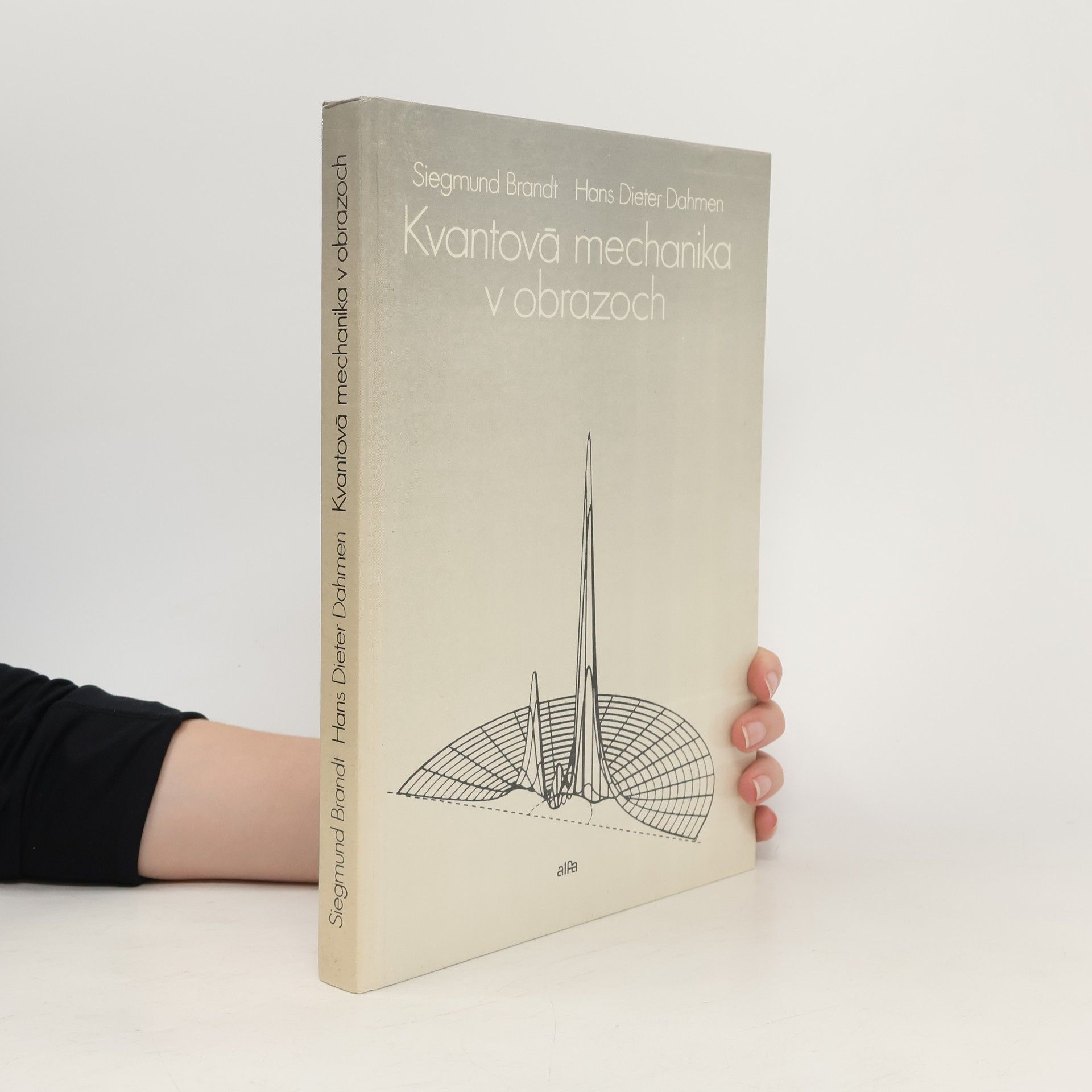 Siegmund Brandt Kvantová mechanika v obrazoch