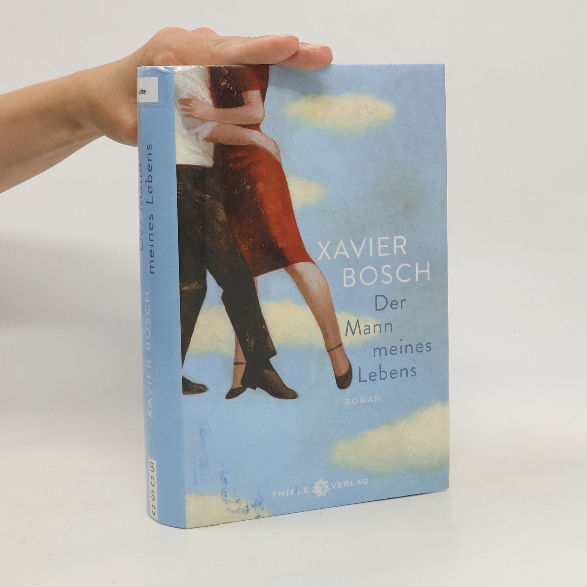 Xavier Bosch Der Mann meines Lebens