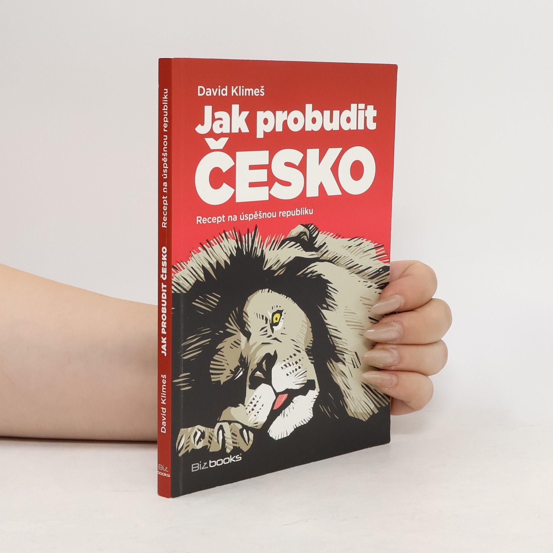 David Klimeš Jak probudit Česko. Recept na úspěšnou republiku